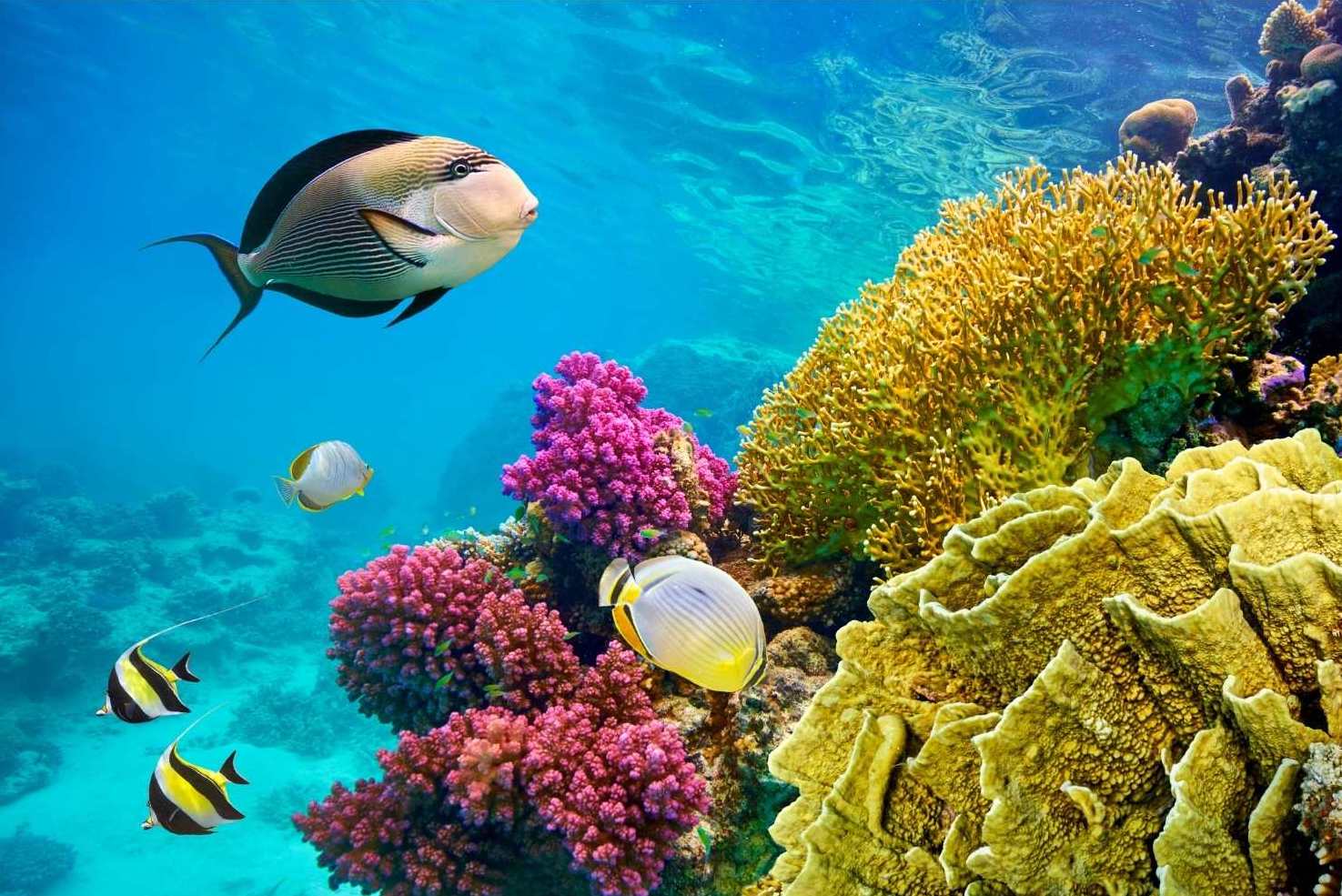 Soggiorni Mare Estero