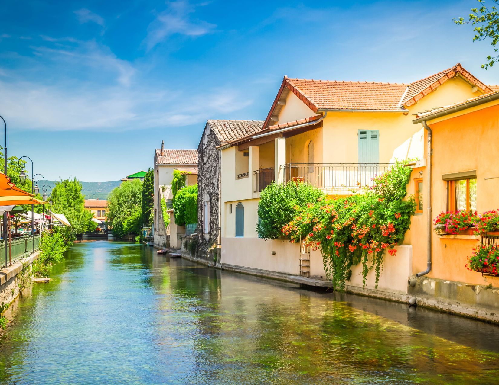 Profumo di Provenza : tra Lavanda e Borghi 10