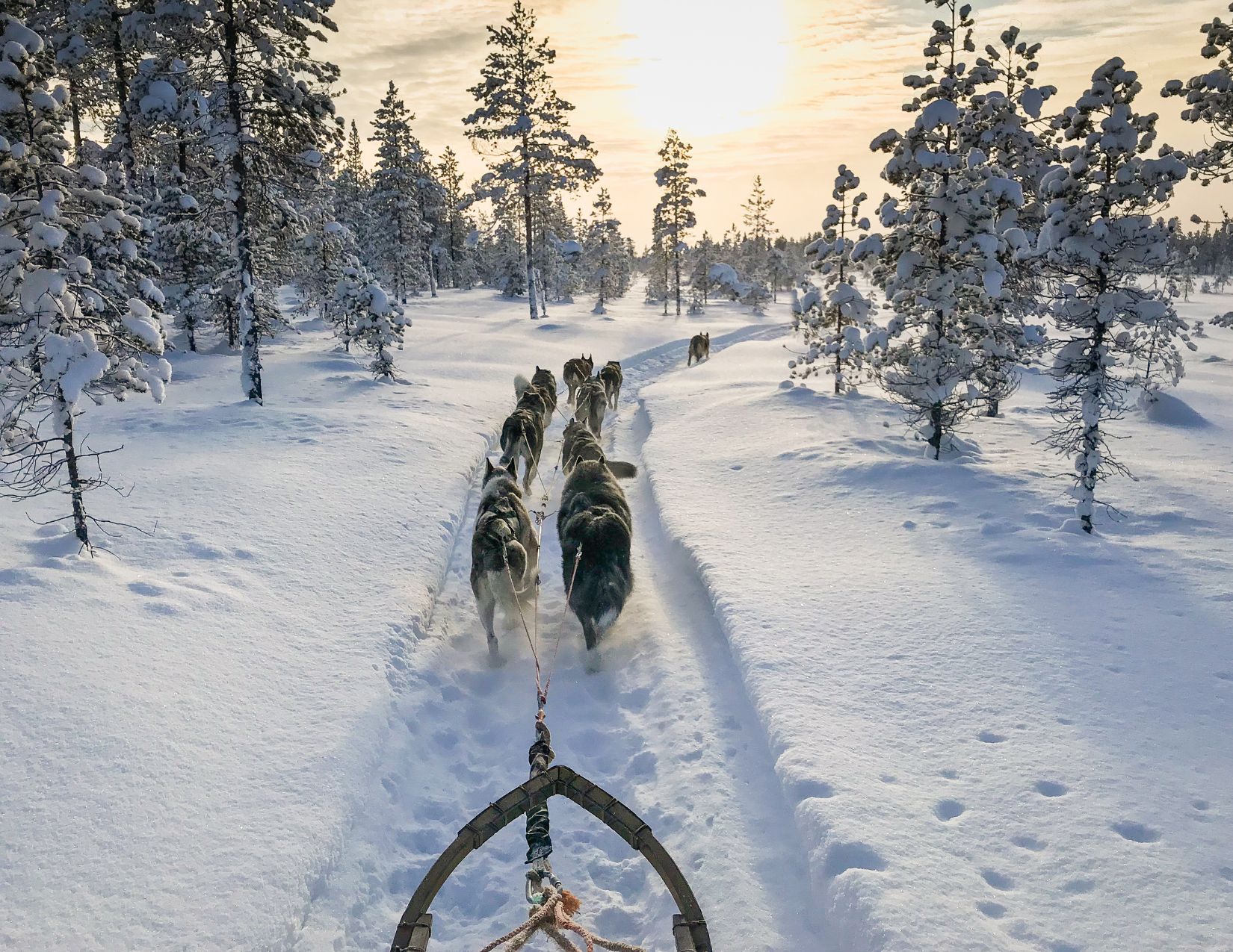 Saariselkä e il Cuore della Lapponia: Avventura oltre il Circolo Polare 9