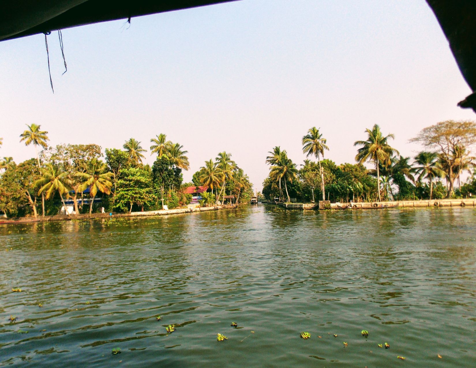 India del Sud e Kerala: tra Templi e Tradizioni 19