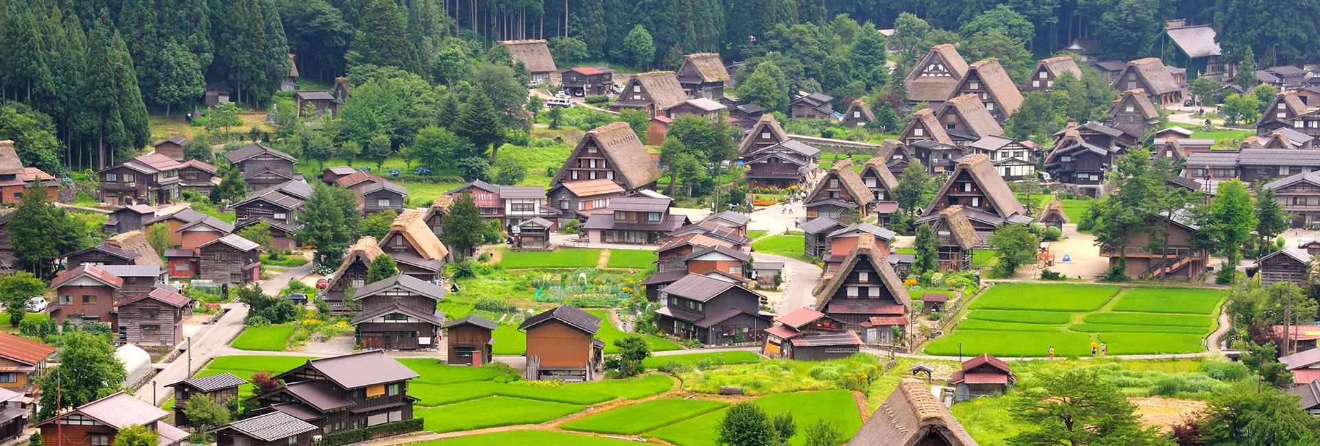 Tour Giappone Rosso Autunno: Esperienze autentiche tra templi, città e il Festival delle Lanterne 8