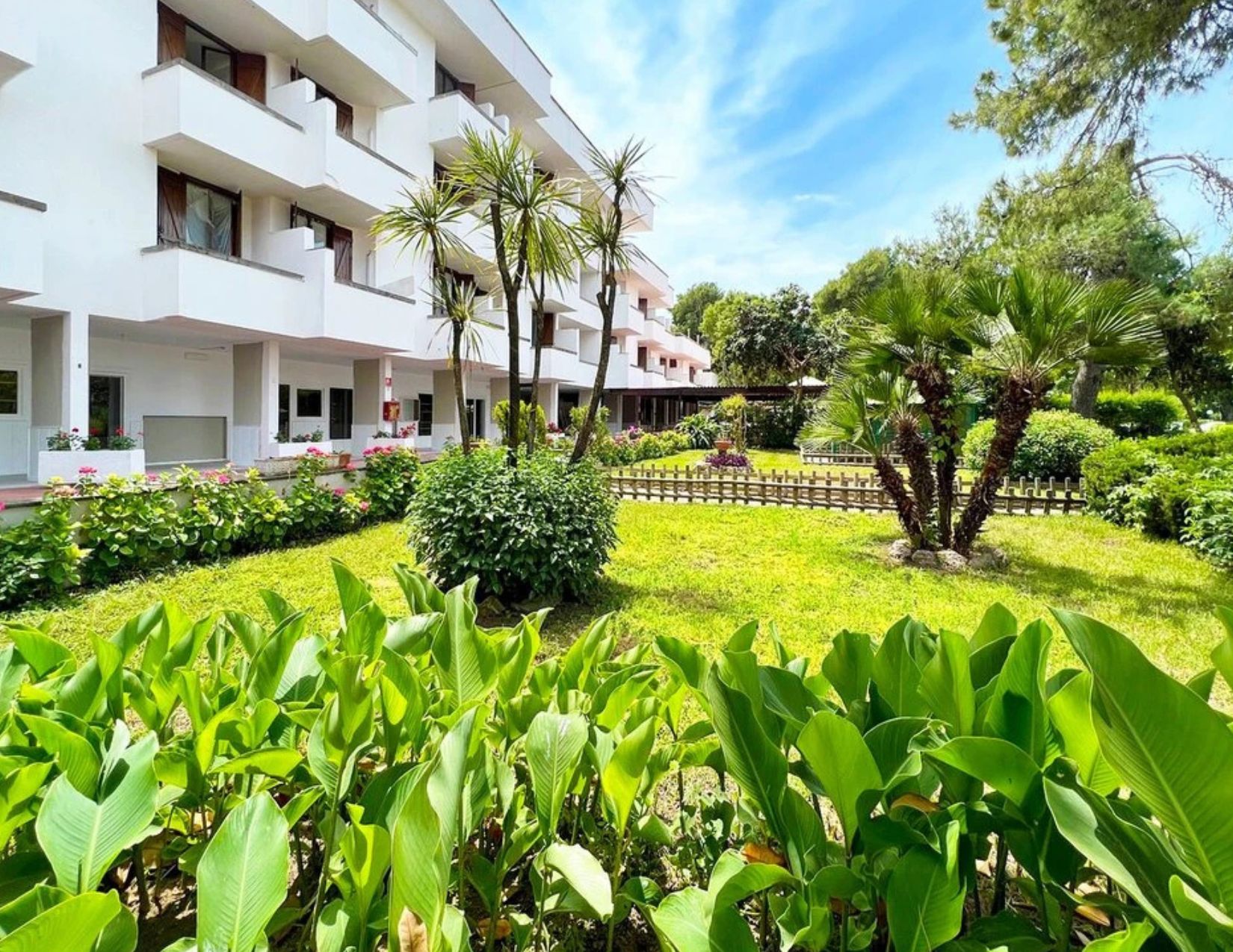 Soggiorno Mare in Cilento: Relax e divertimento in Resort 4* 2