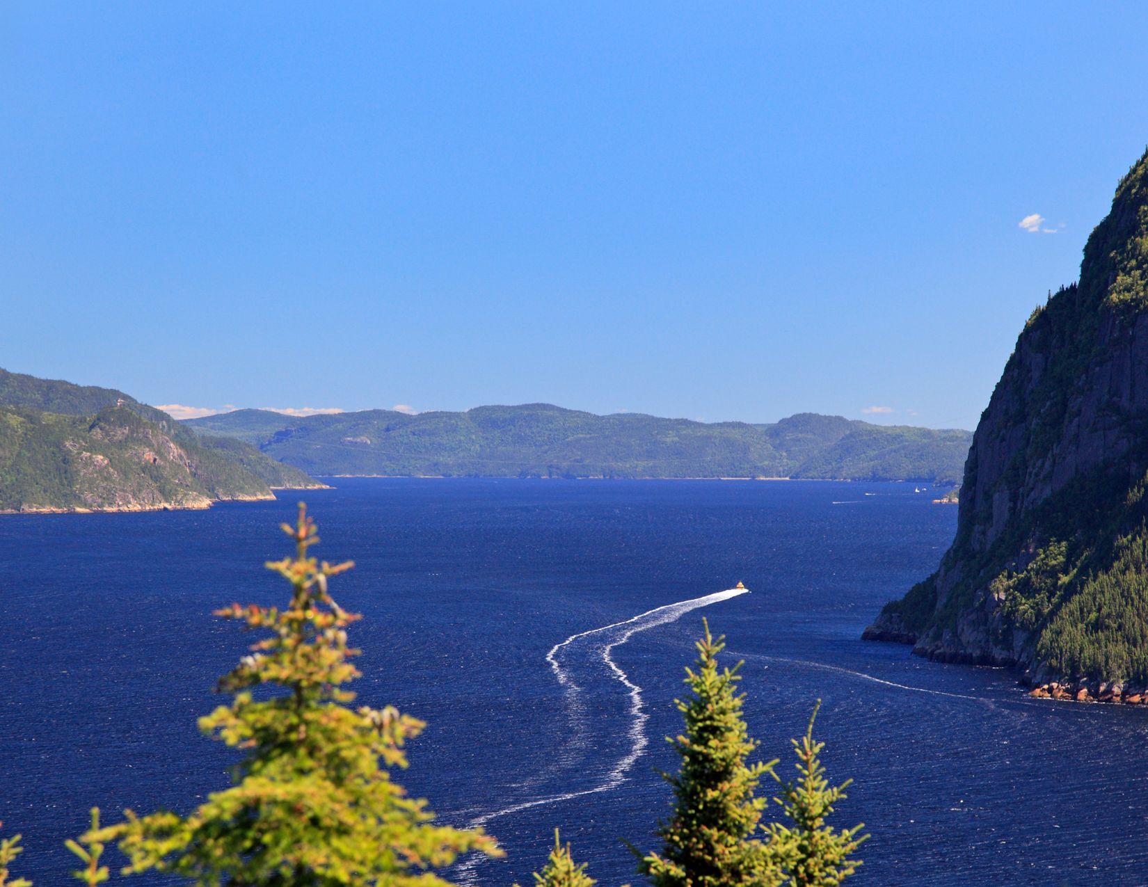 Canada tra Metropoli e Natura: l’Anima Selvaggia del Québec 10