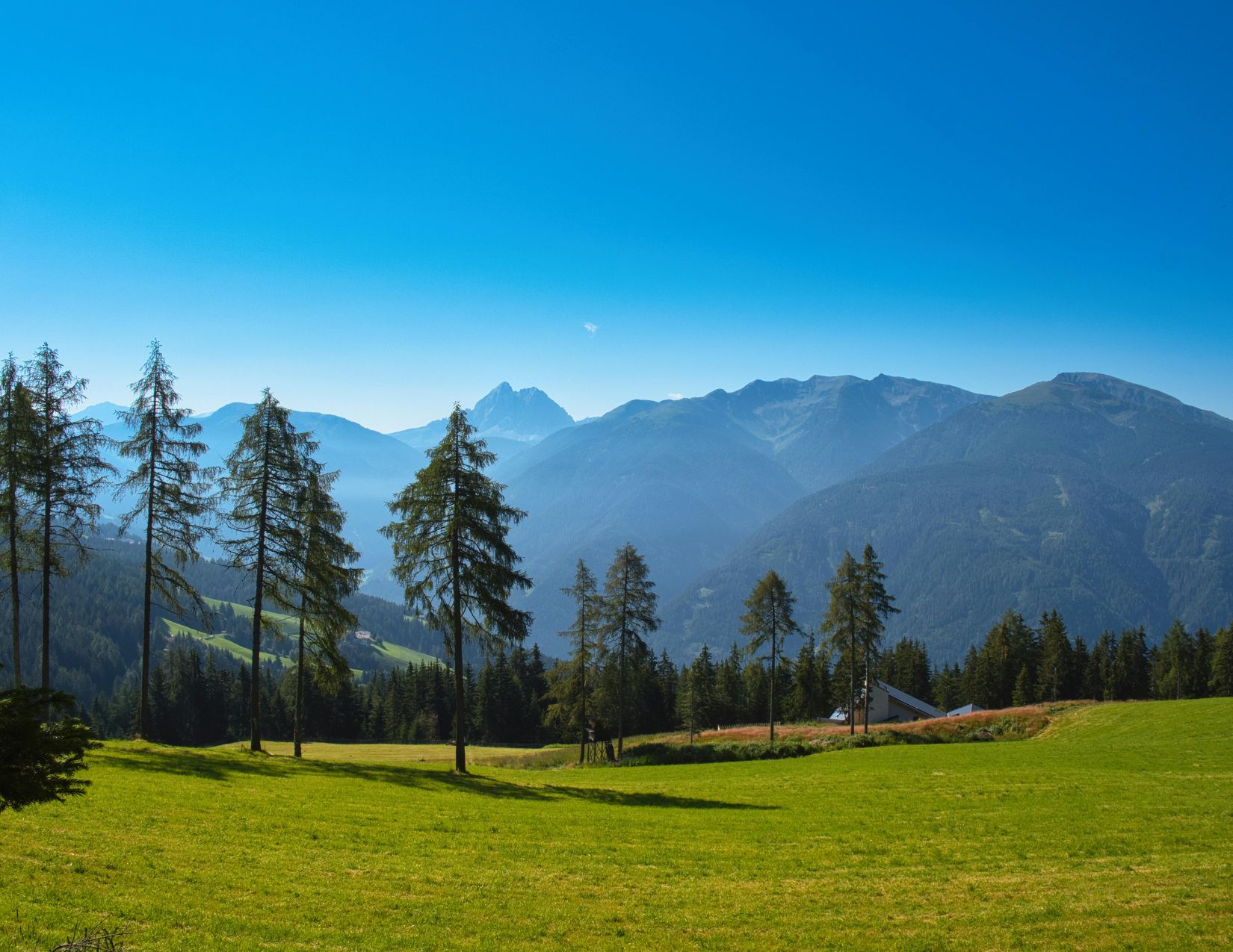 Settimana Verde in Trentino: Relax, natura e passeggiate 7