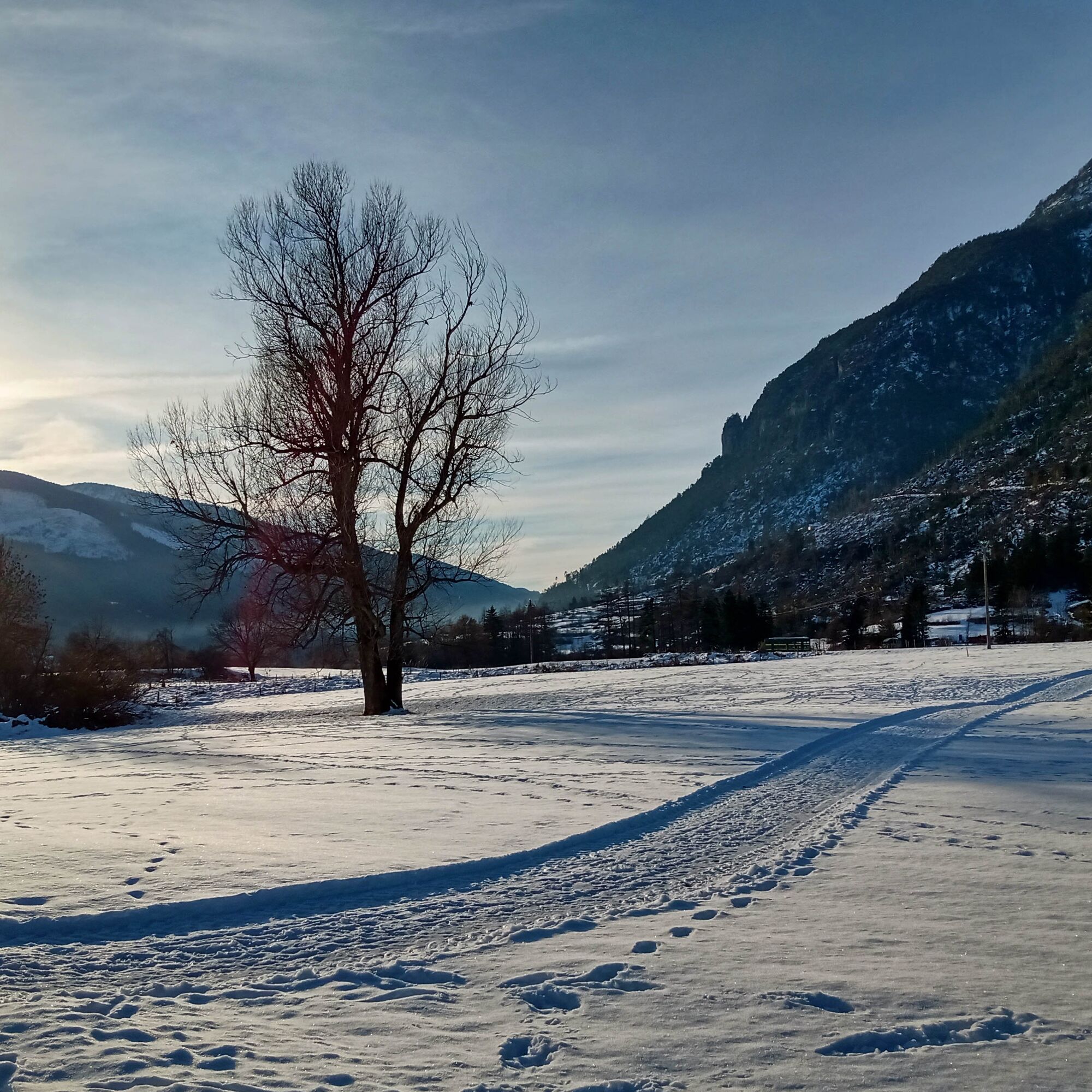 Settimana Bianca a Predazzo: neve, panorami e Dolomiti 2