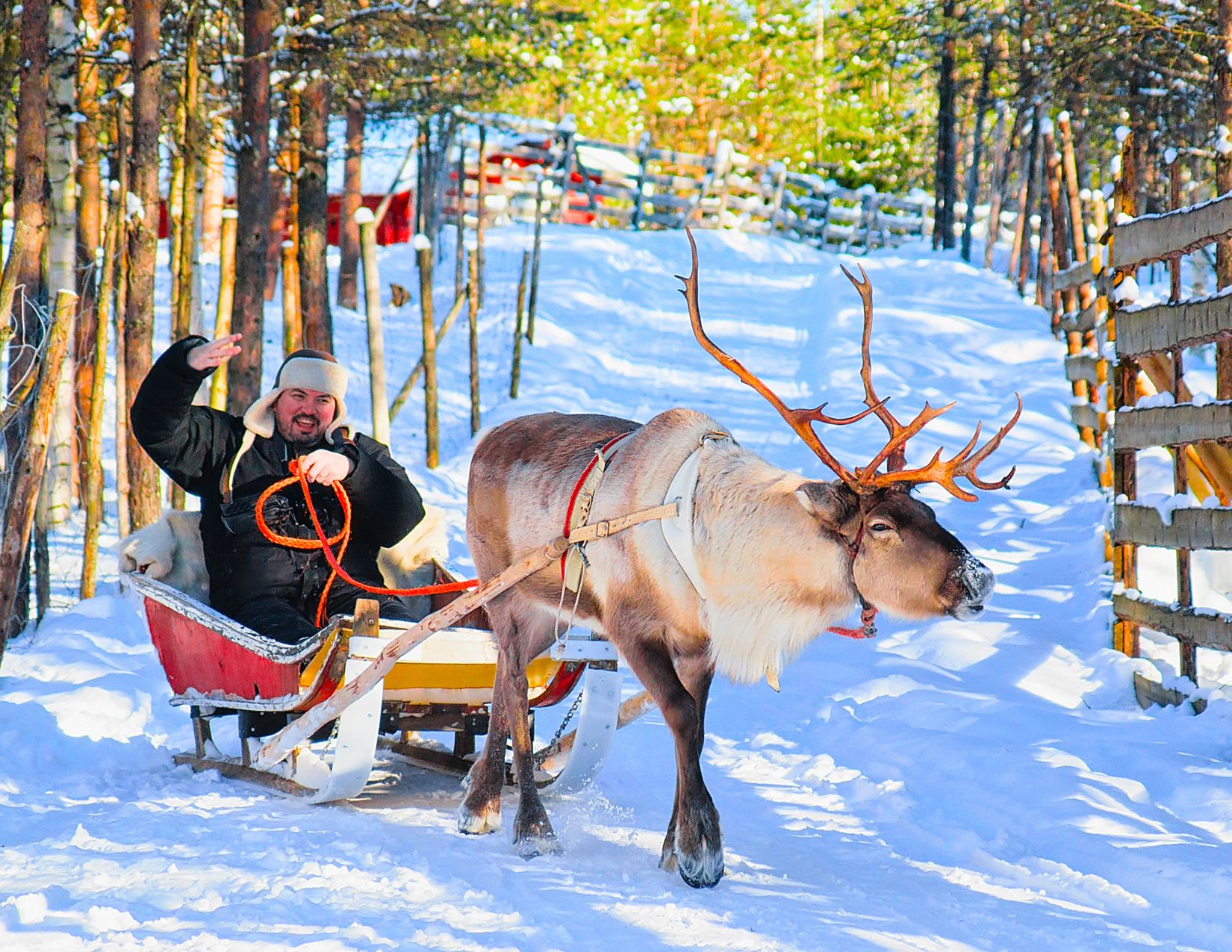 Lapponia Finlandese: La magia dell'aurora boreale di Rovaniemi 5