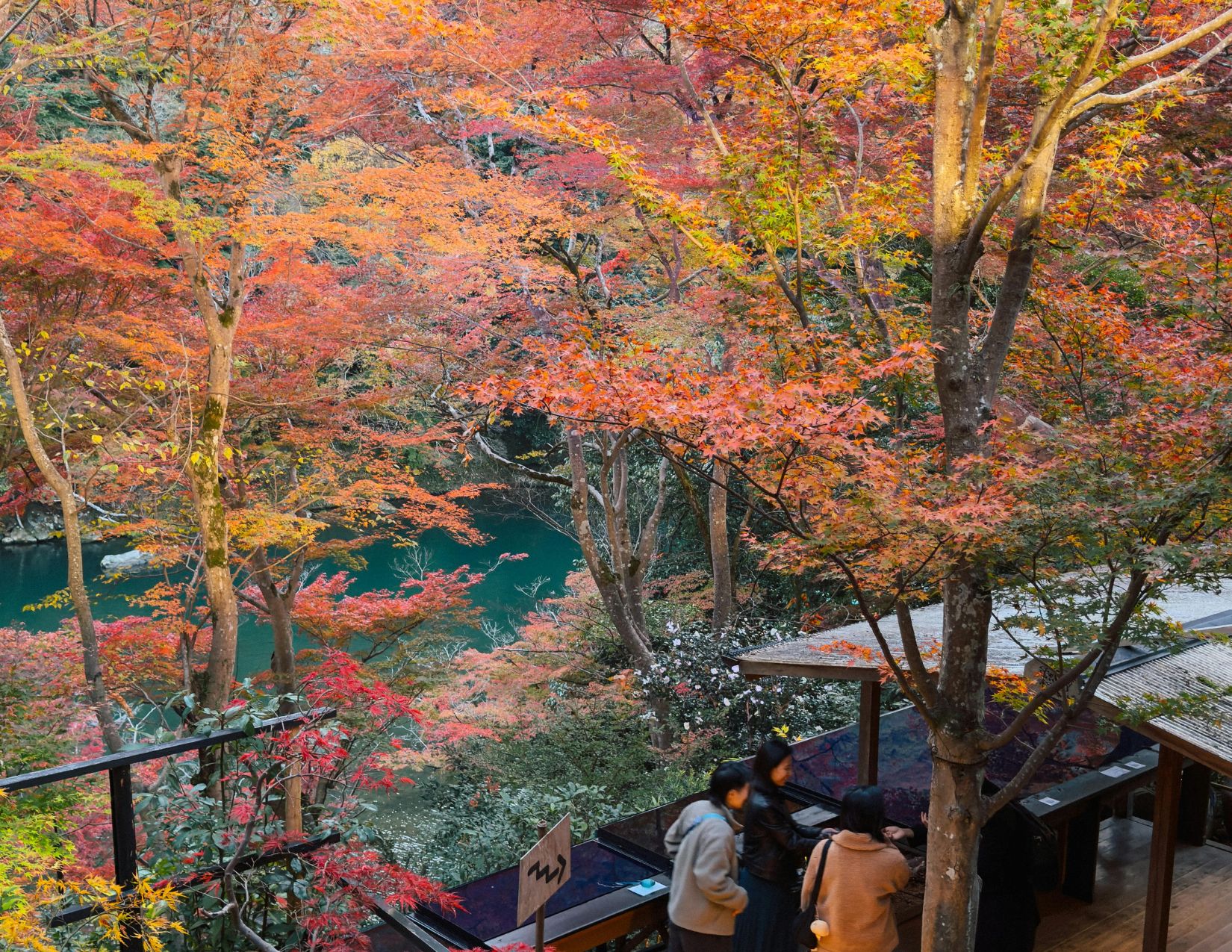 Tour Giappone Rosso Autunno: Esperienze autentiche tra templi, città e il Festival delle Lanterne 20