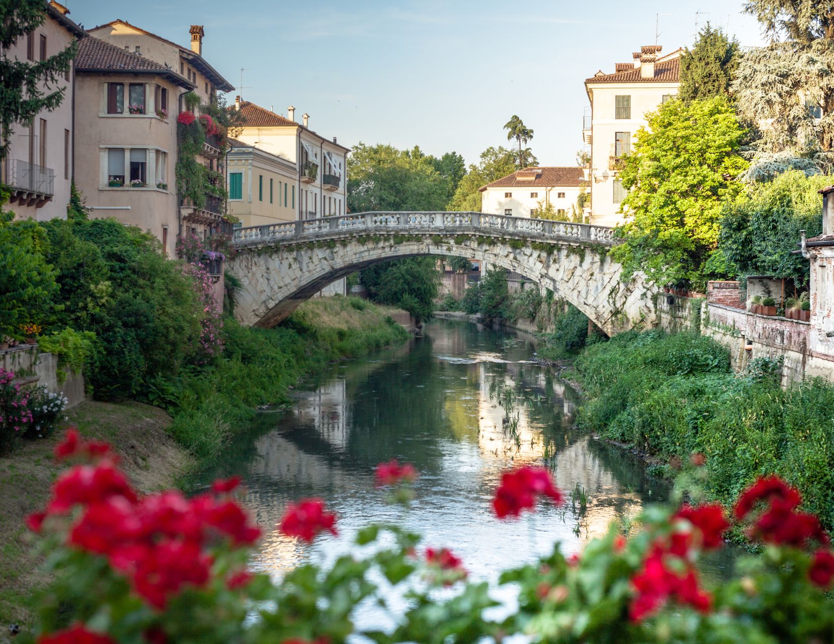 Luglio sorprendente: la fioritura del loto sul Mincio 3