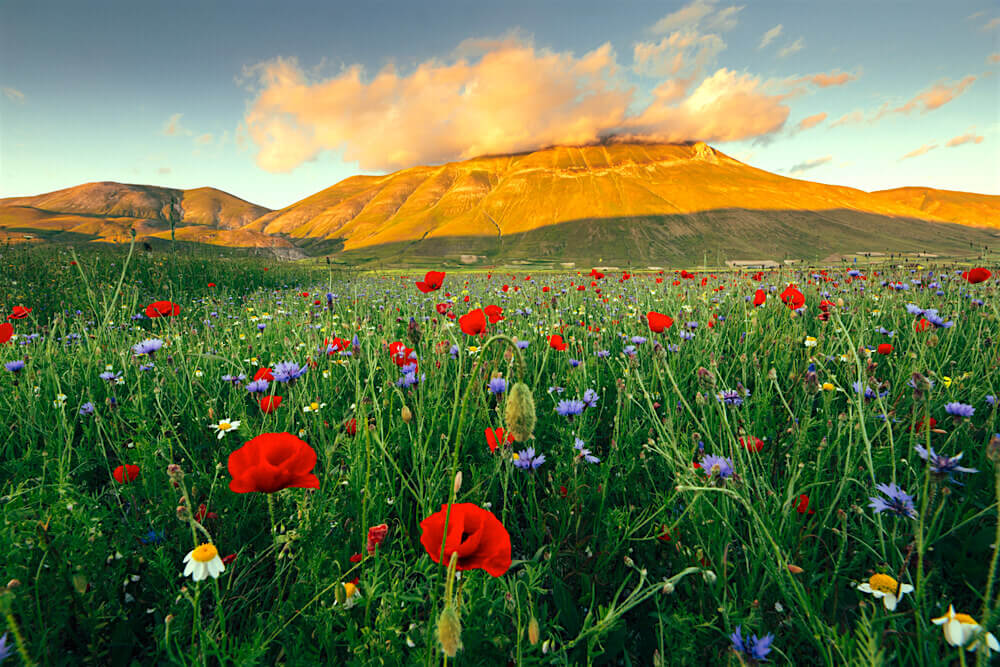 Weekend Verde sui Monti Sibillini: Esperienze autentiche, Tradizioni e la Fioritura di Castelluccio 20