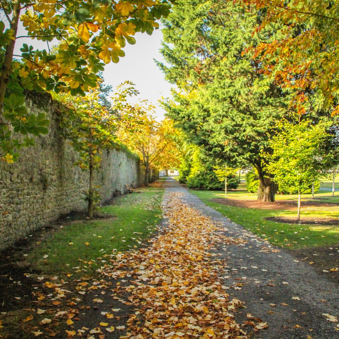 Tour dell'Irlanda: Leggende e paesaggi da Dublino al Connemara 36