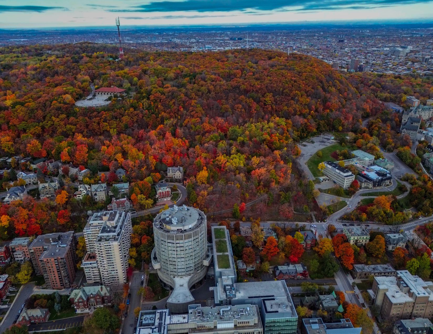Canada tra Metropoli e Natura: l’Anima Selvaggia del Québec 2