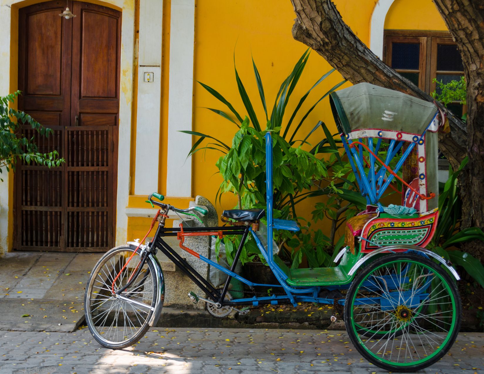 India del Sud e Kerala: tra Templi e Tradizioni 9