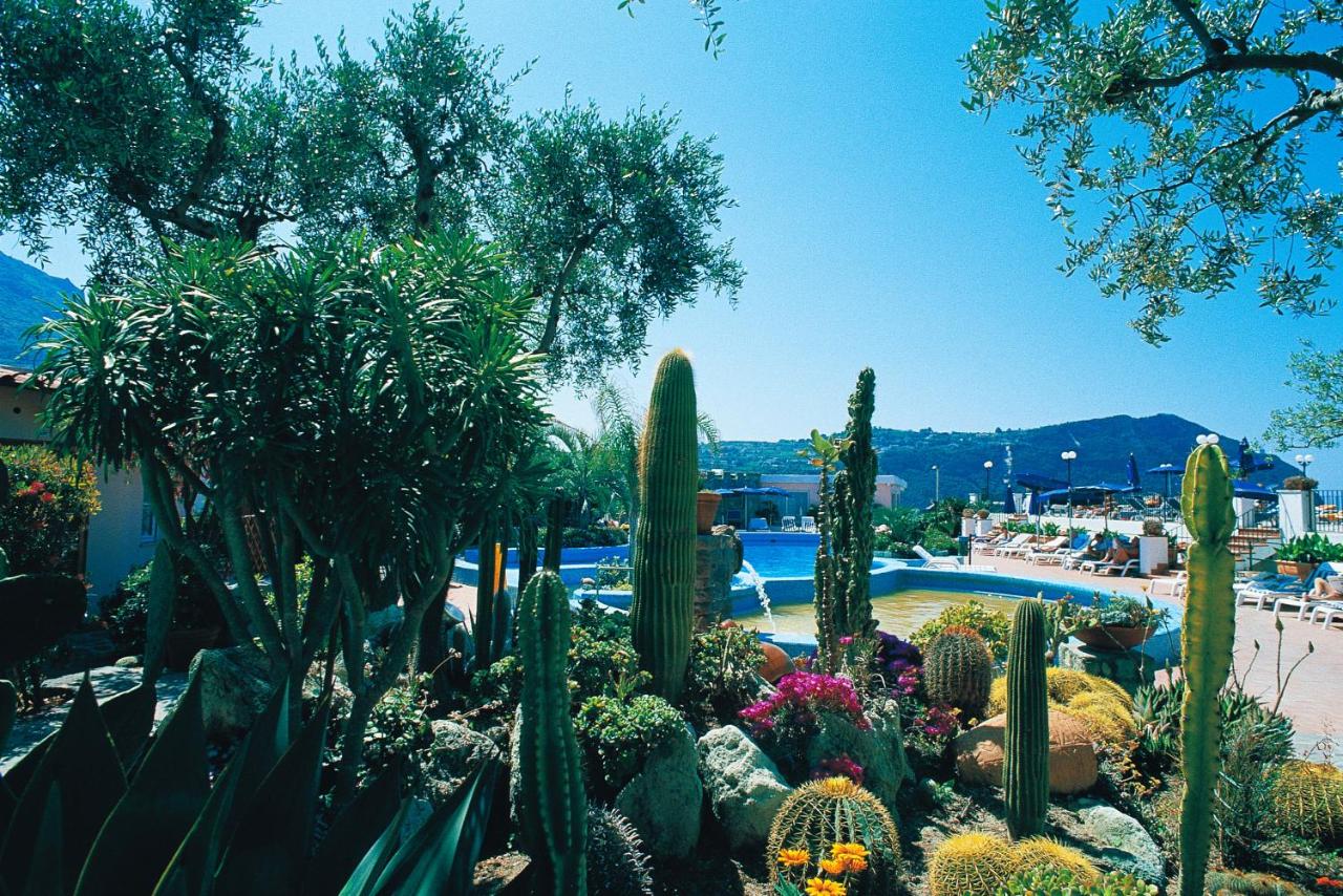 Hotel Providence a Ischia: terme, mare e tante coccole 7