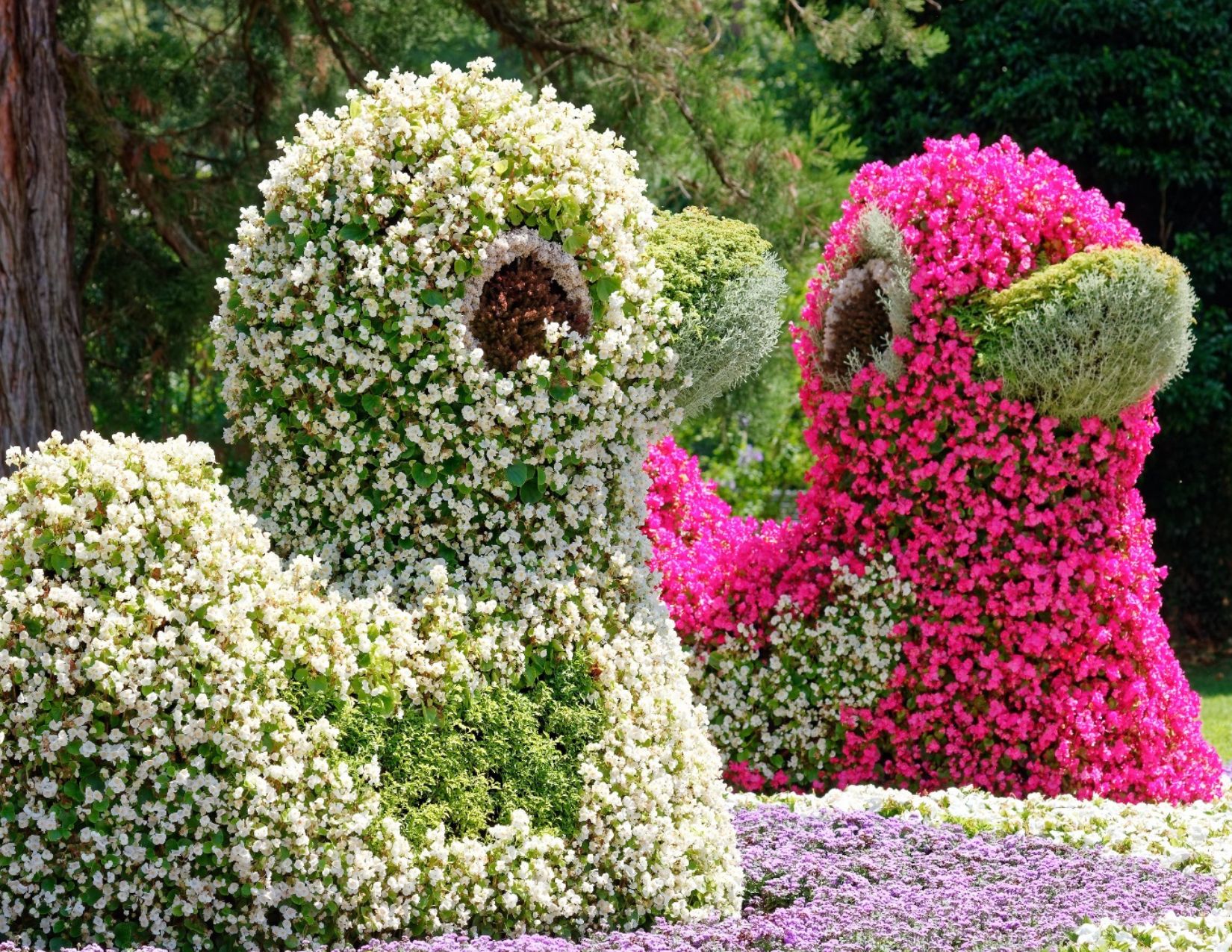 Gran Tour della Foresta Nera: Meraviglie dall'Alsazia alla Svizzera 20