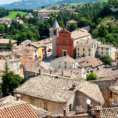 Settimana verde esperienziale: Emozioni e Scoperte nel Cuore Verde del Montefeltro