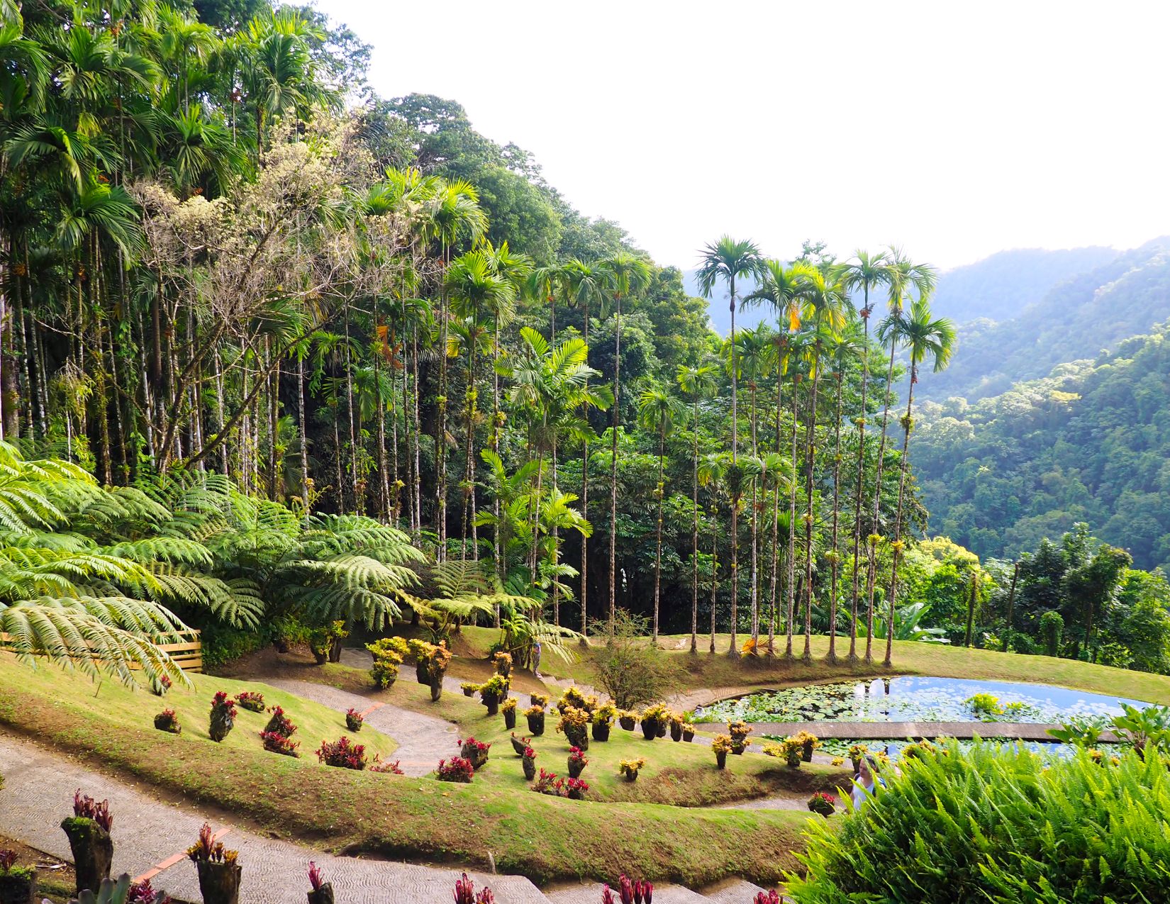 Crociera nelle Antille Francesi con MSC Seaview 7