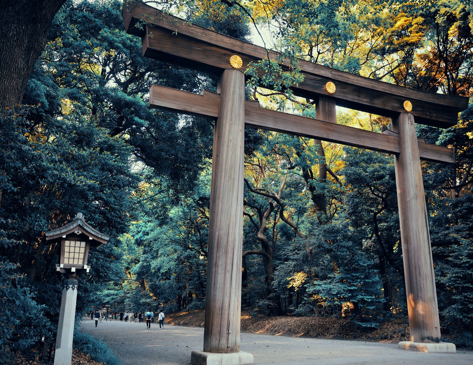 Gran Tour Meraviglie del Giappone - Partenza Garantita 3