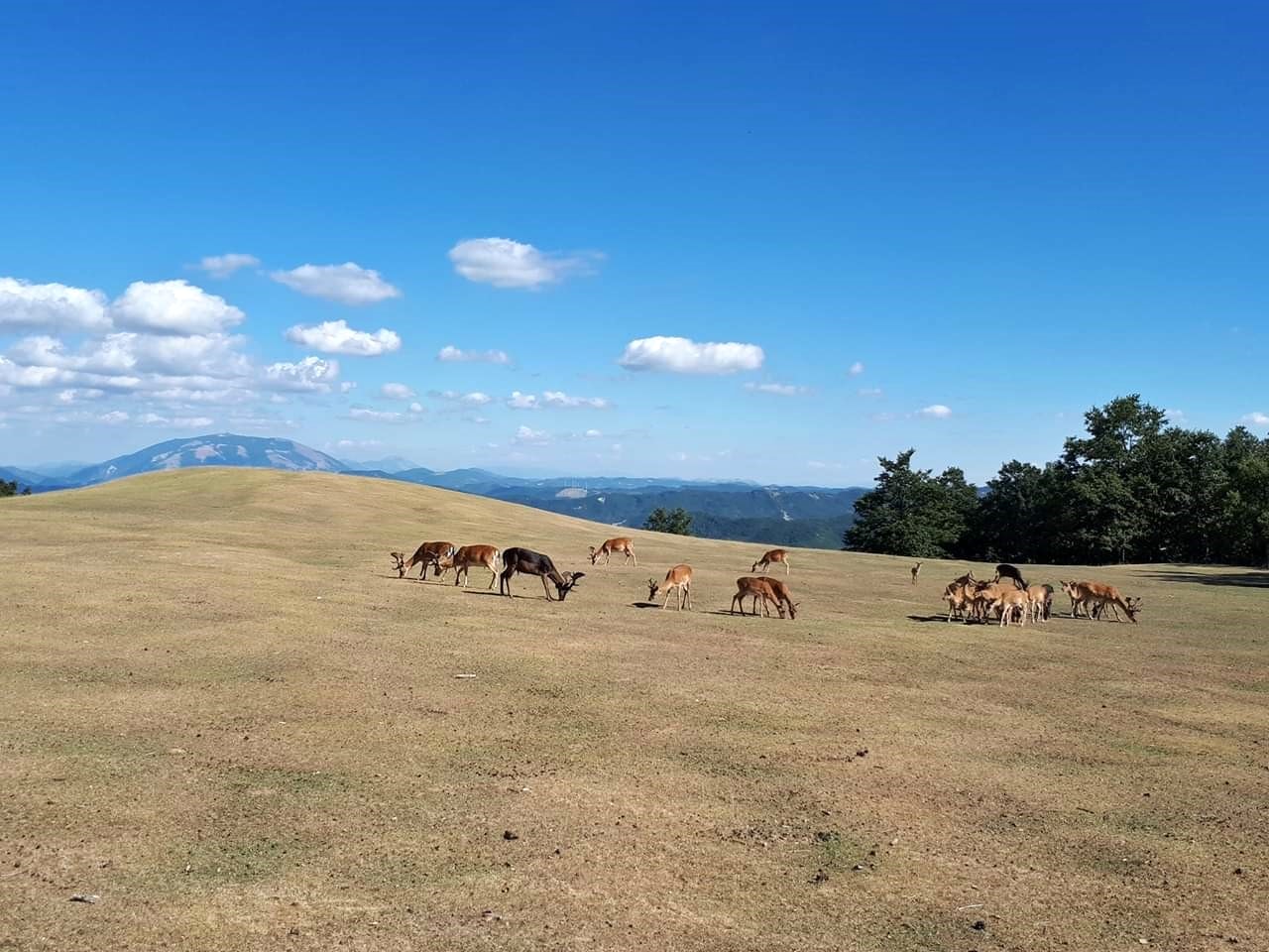 Settimana verde esperienziale: Emozioni e Scoperte nel Cuore Verde del Montefeltro 4