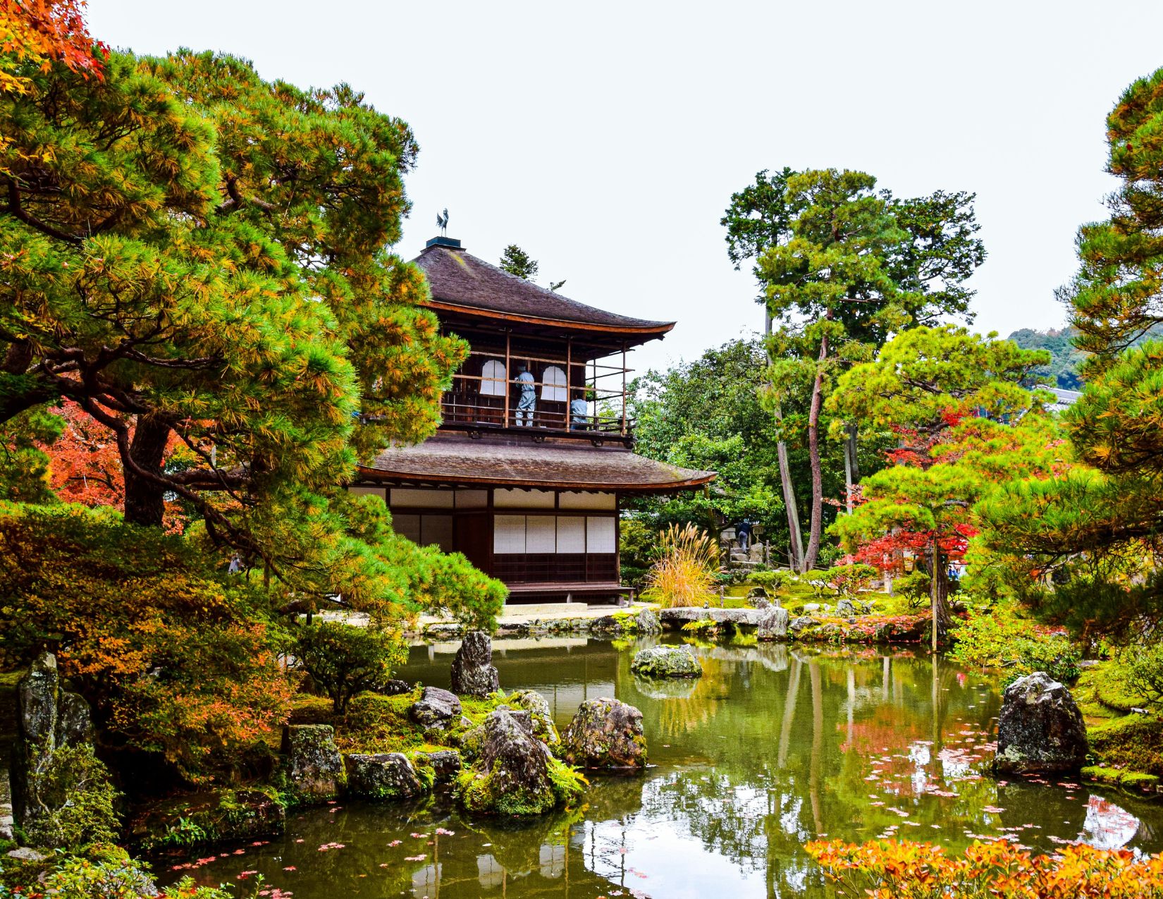 Tour Giappone Rosso Autunno: Esperienze autentiche tra templi, città e il Festival delle Lanterne 18