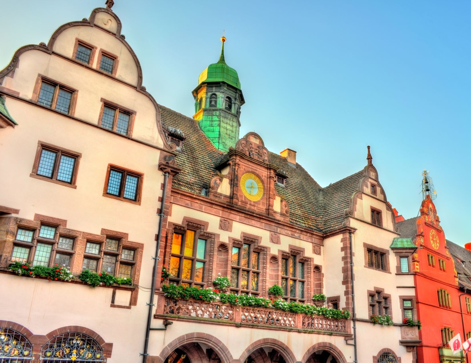 Gran Tour della Foresta Nera: Meraviglie dall'Alsazia alla Svizzera 3