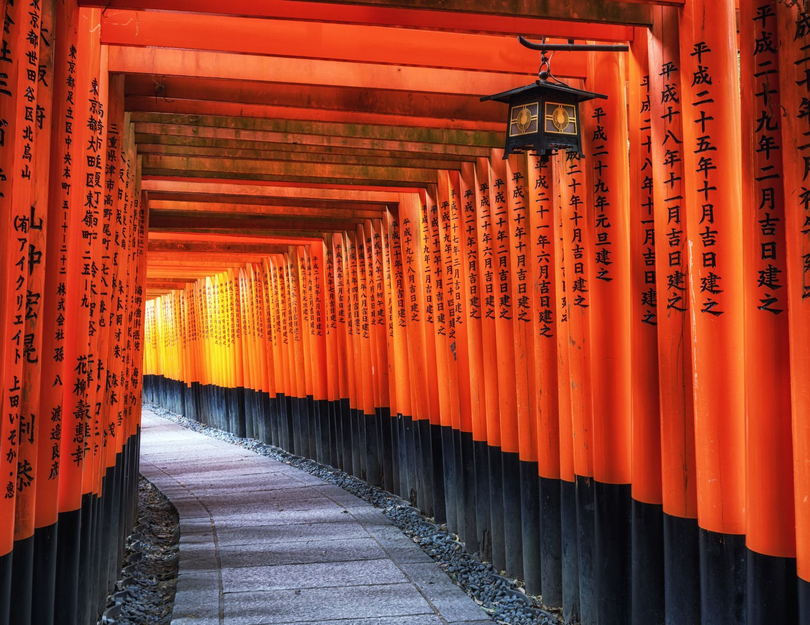 Tour Giappone Rosso Autunno: Esperienze autentiche tra templi, città e il Festival delle Lanterne 17