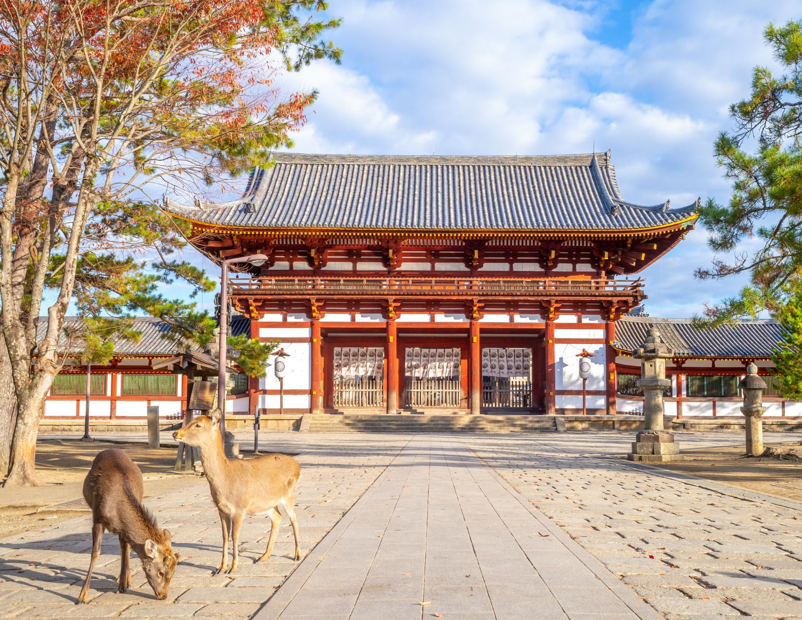 Tour Giappone Rosso Autunno: Esperienze autentiche tra templi, città e il Festival delle Lanterne 13
