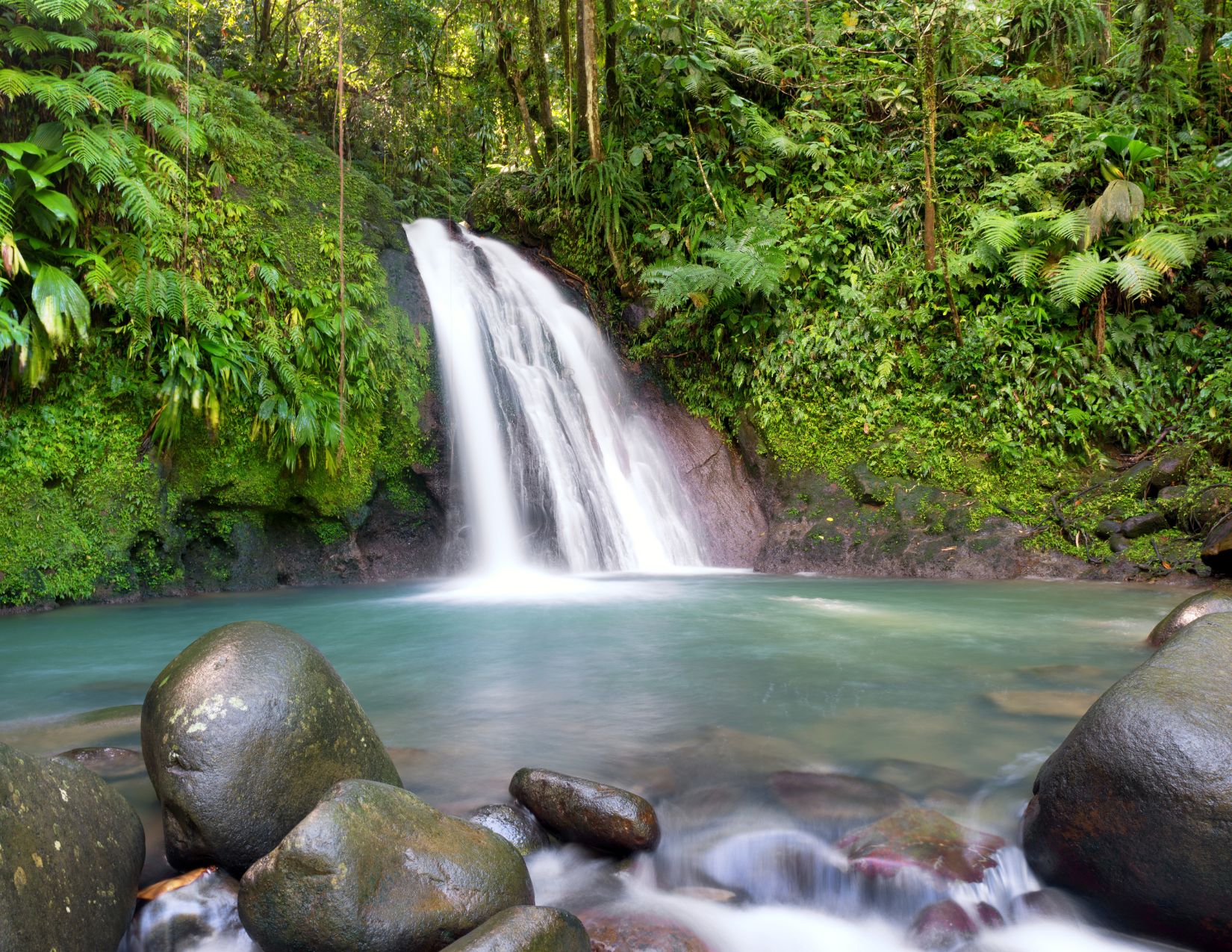 Crociera nelle Antille Francesi con MSC Seaview 10