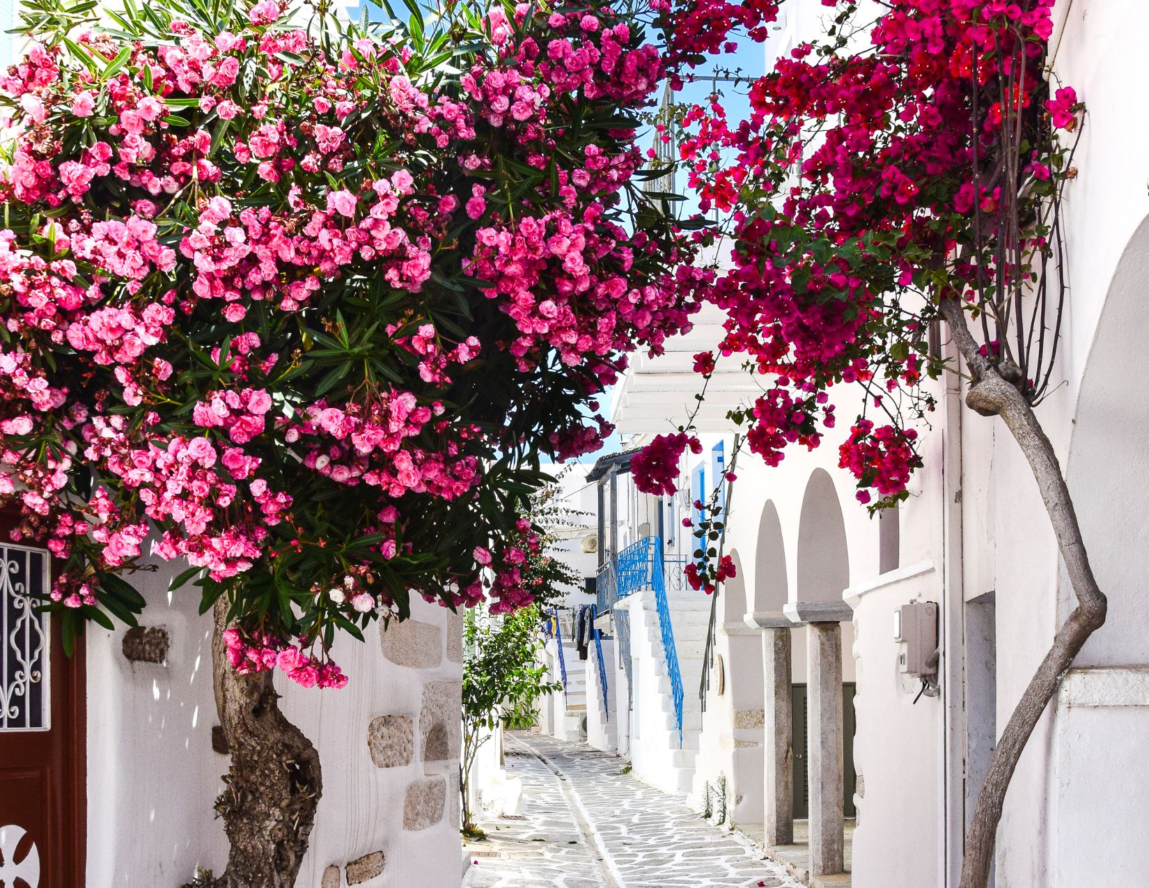 Tour & Mare in Grecia: da Atene alle Isole Cicladi 3