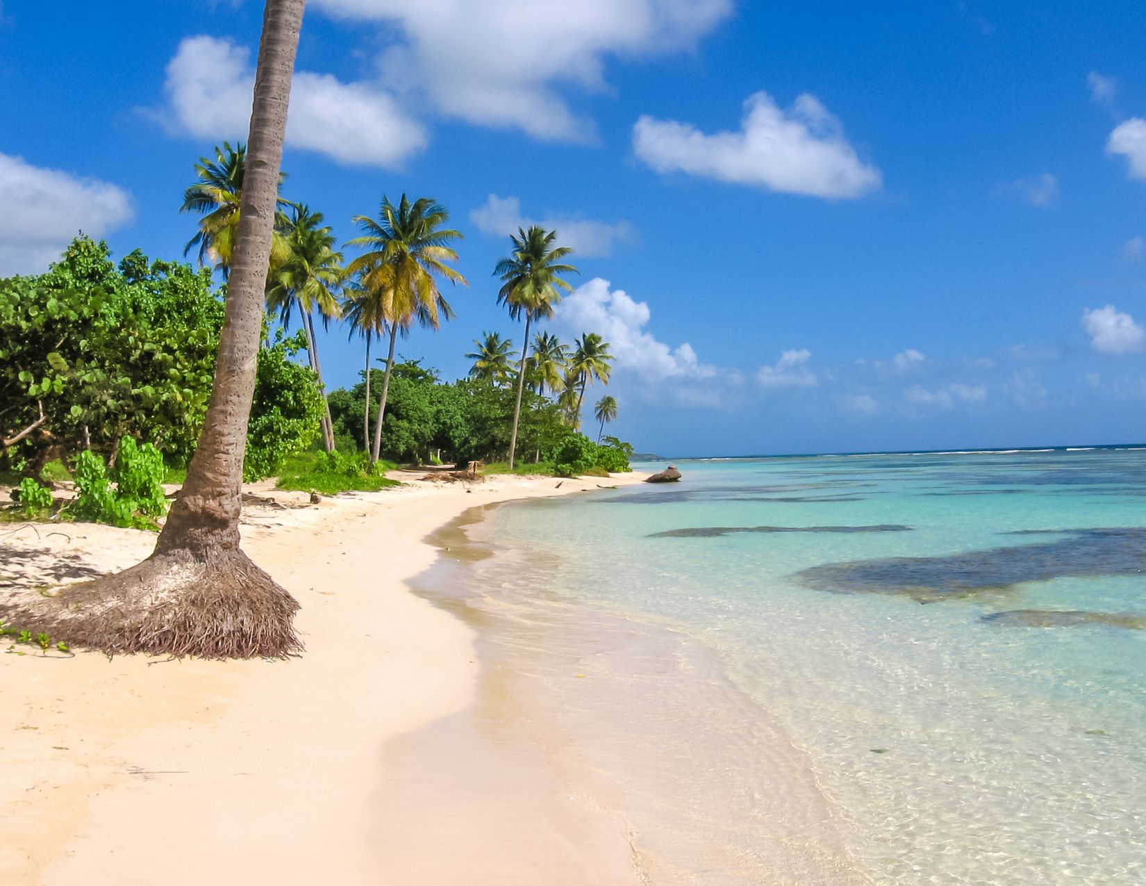 Crociera nelle Antille Francesi con MSC Seaview 8