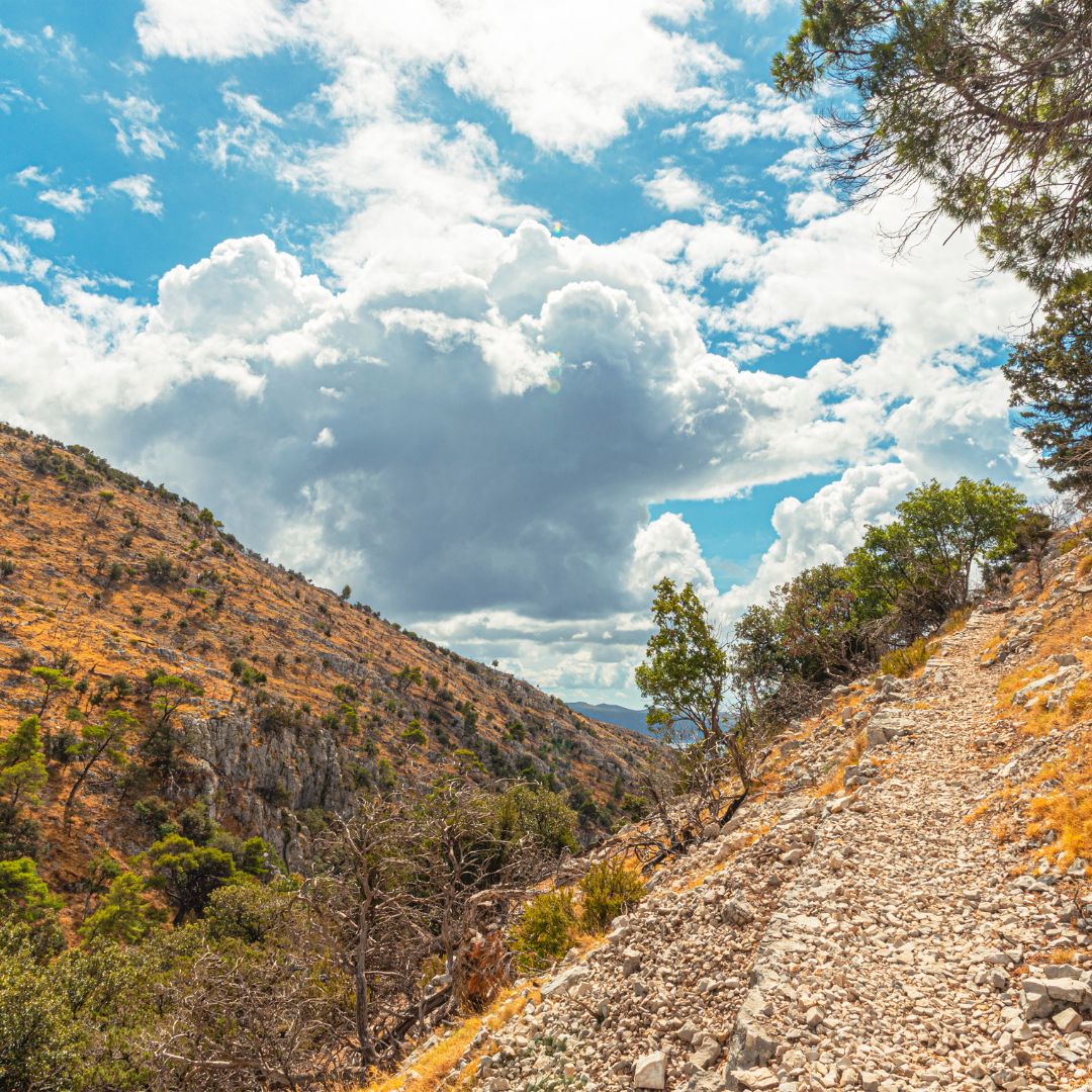 Ferragosto in Croazia: Tour & Soggiorno mare in Costa Dalmata 19