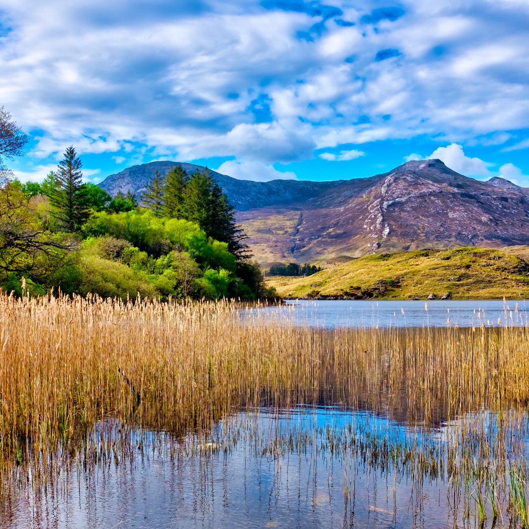 Tour dell'Irlanda: Leggende e paesaggi da Dublino al Connemara 17