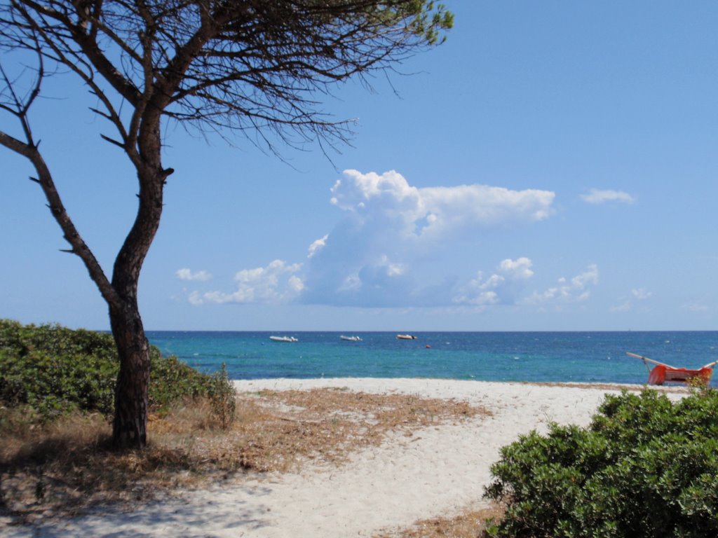 Ultimi Tuffi in Sardegna: Club Hotel Eurovillage a Budoni 19