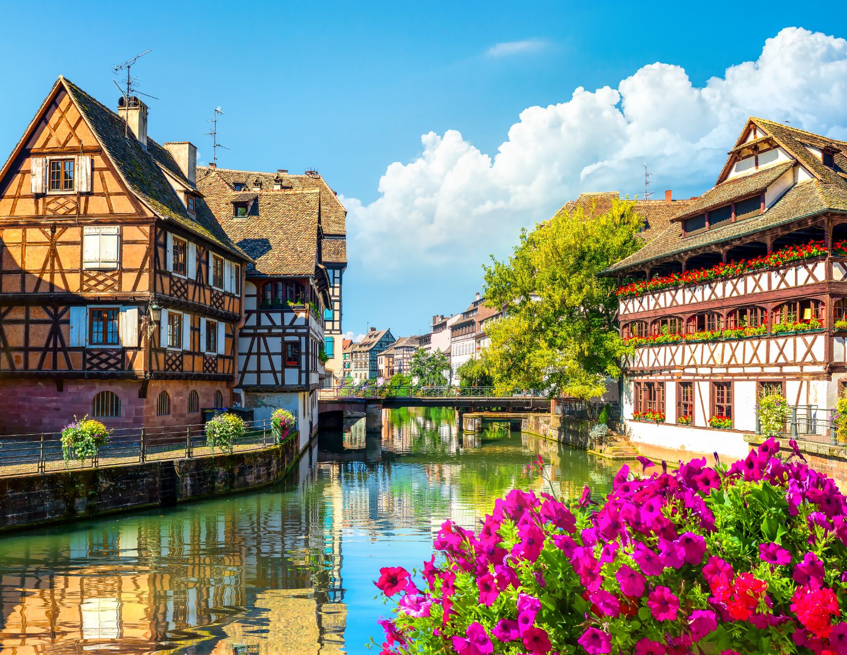 I Mercatini di Natale in Alsazia: magia, tradizione e paesaggi da fiaba 12