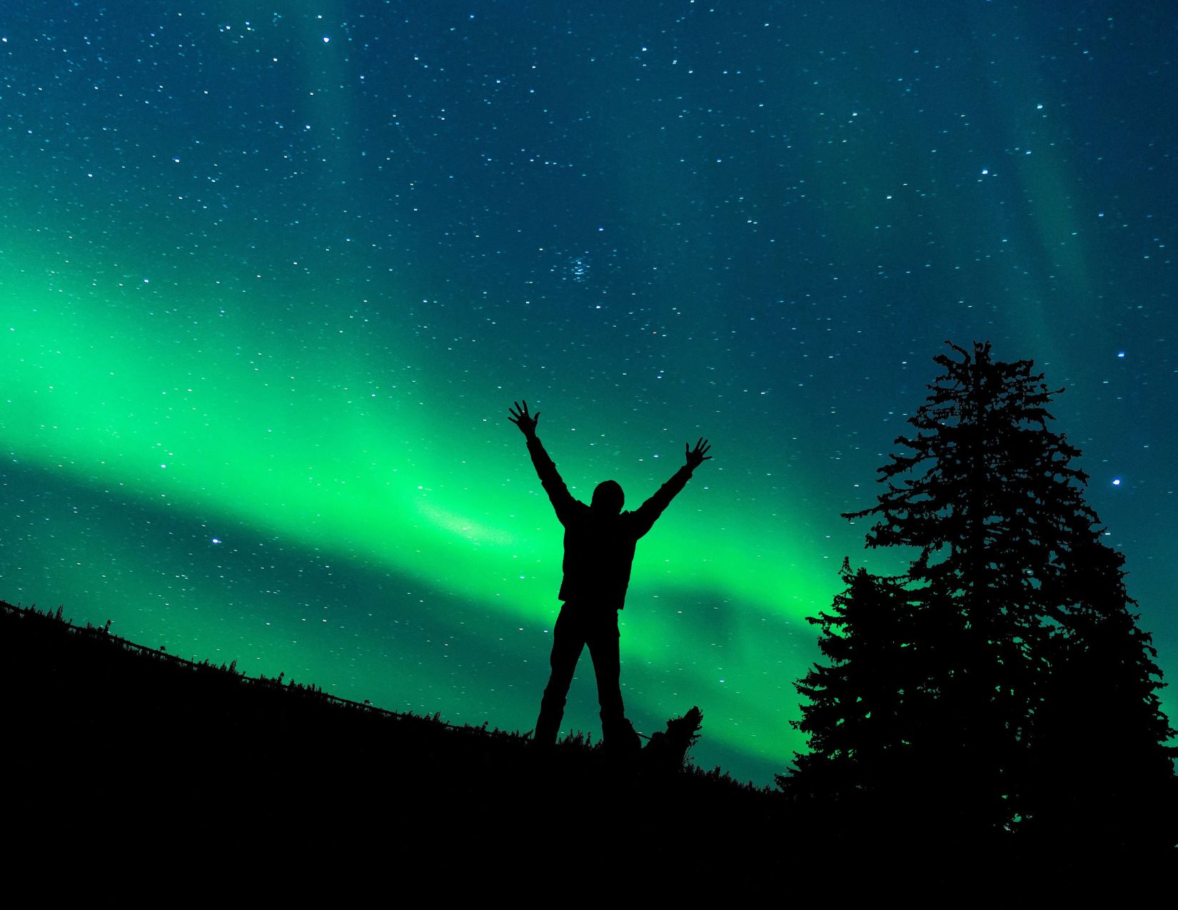 Saariselkä e il Cuore della Lapponia: Avventura oltre il Circolo Polare 7