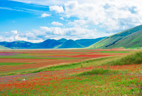 Weekend Verde sui Monti Sibillini: Esperienze autentiche, Tradizioni e la Fioritura di Castelluccio