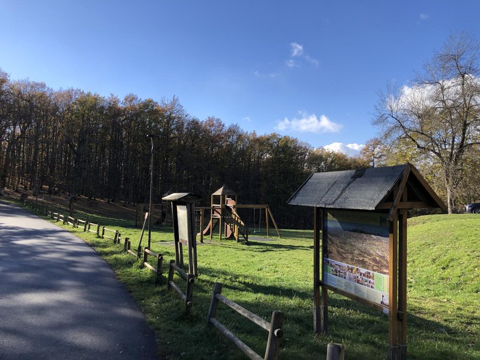 Settimana verde esperienziale: Emozioni e Scoperte nel Cuore Verde del Montefeltro 7