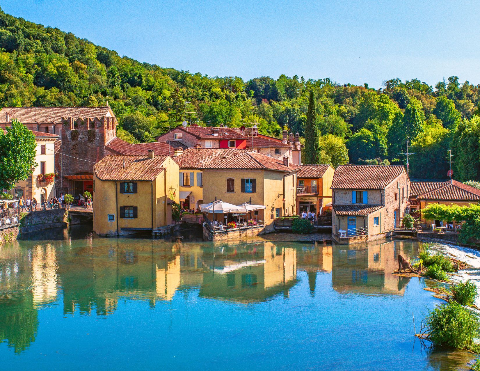 Luglio sorprendente: la fioritura del loto sul Mincio 11