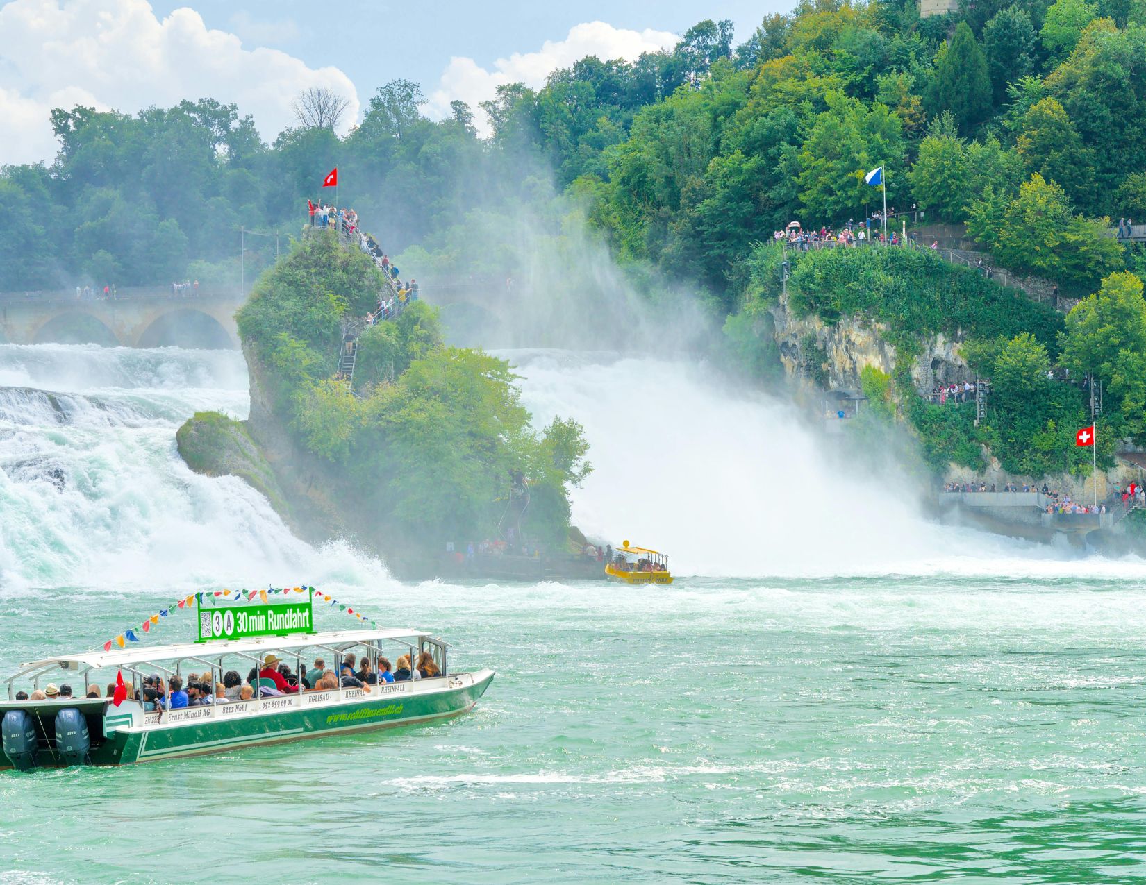 Gran Tour della Foresta Nera: Meraviglie dall'Alsazia alla Svizzera 12