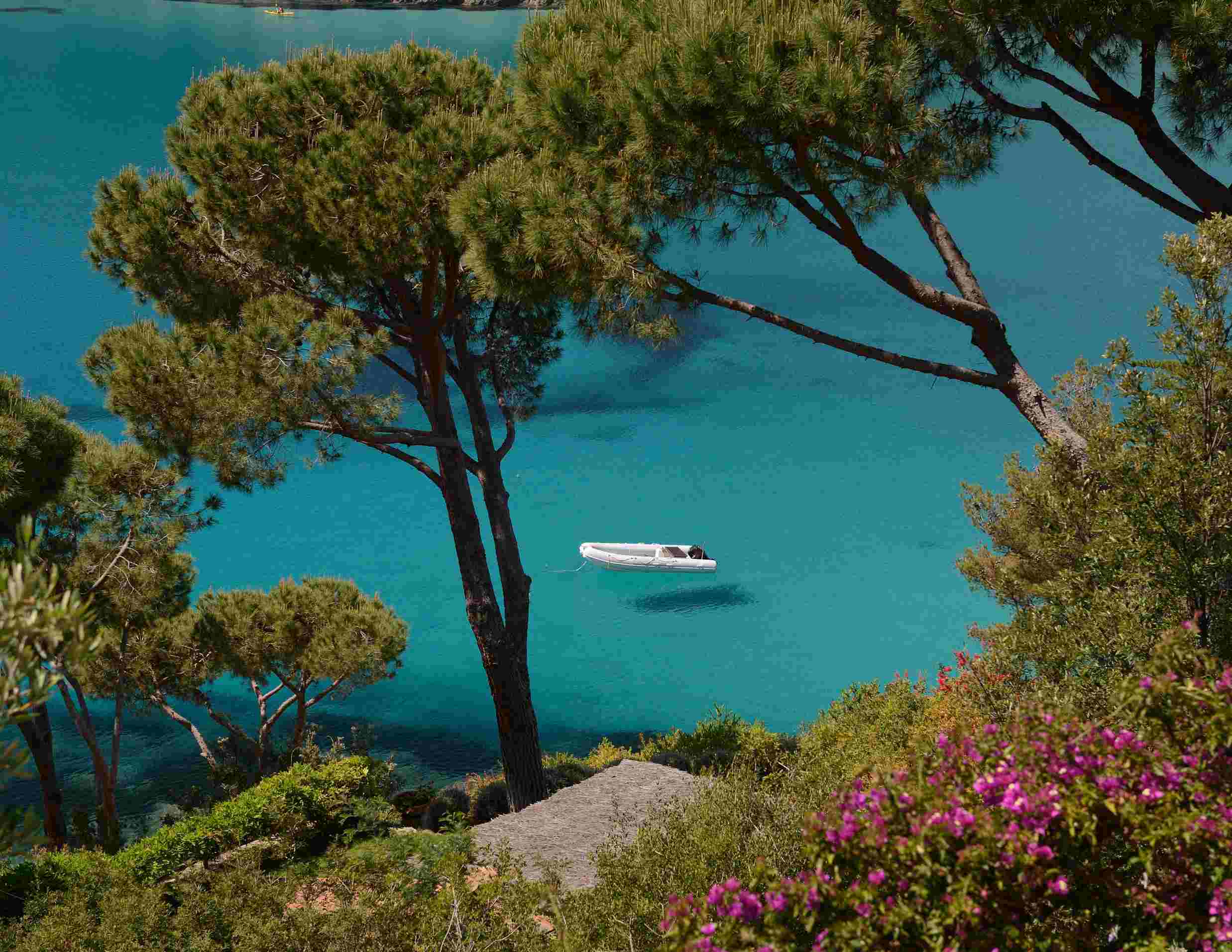 Minitour di Inizio Estate all'Isola D'Elba: Mare, Borghi e Natura 6
