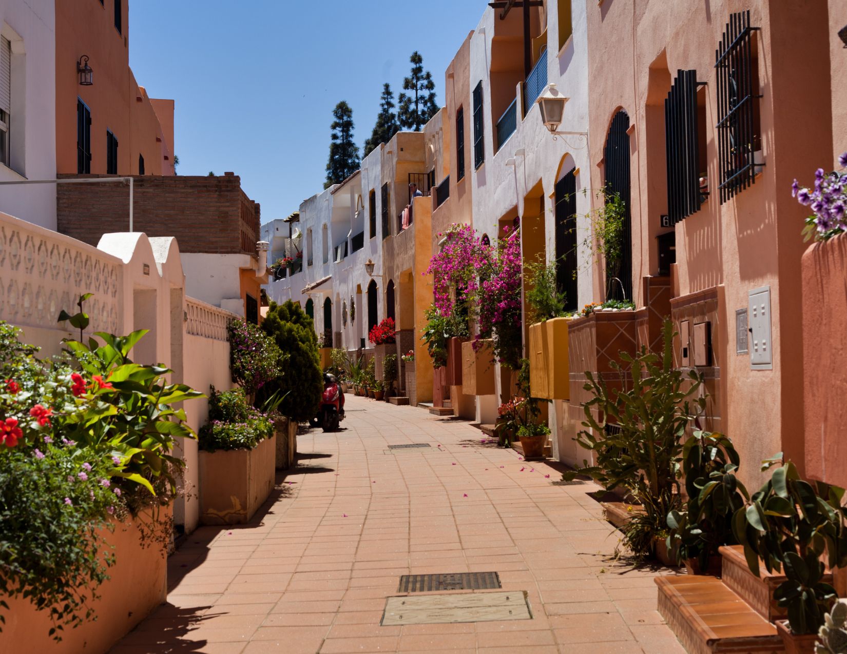 Minitour in Spagna: dalla Costa del Sol ai tesori dell'Andalusia 11
