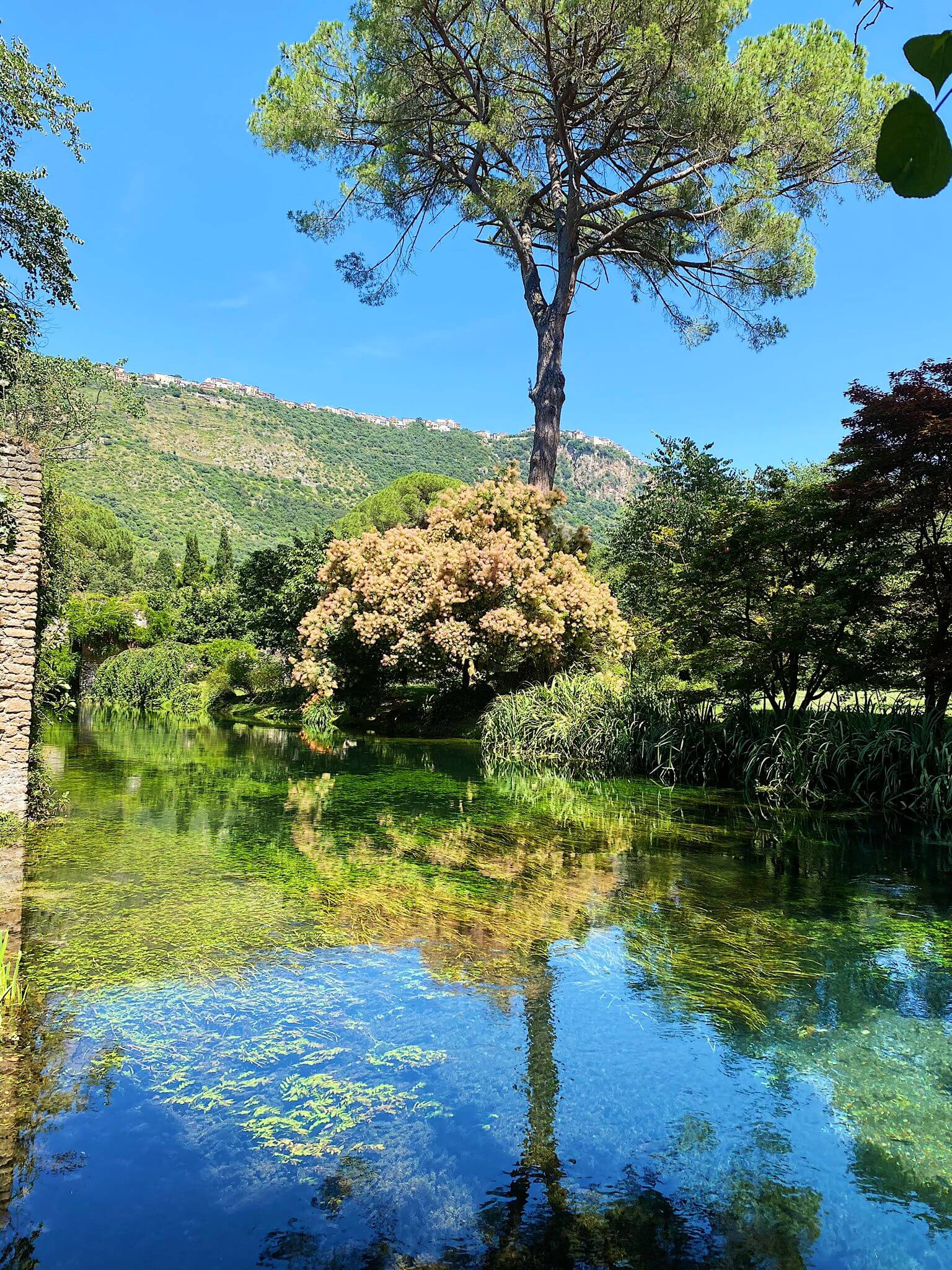 La Festa della Mamma al Giardino di Ninfa & il Borgo di Sermoneta 6