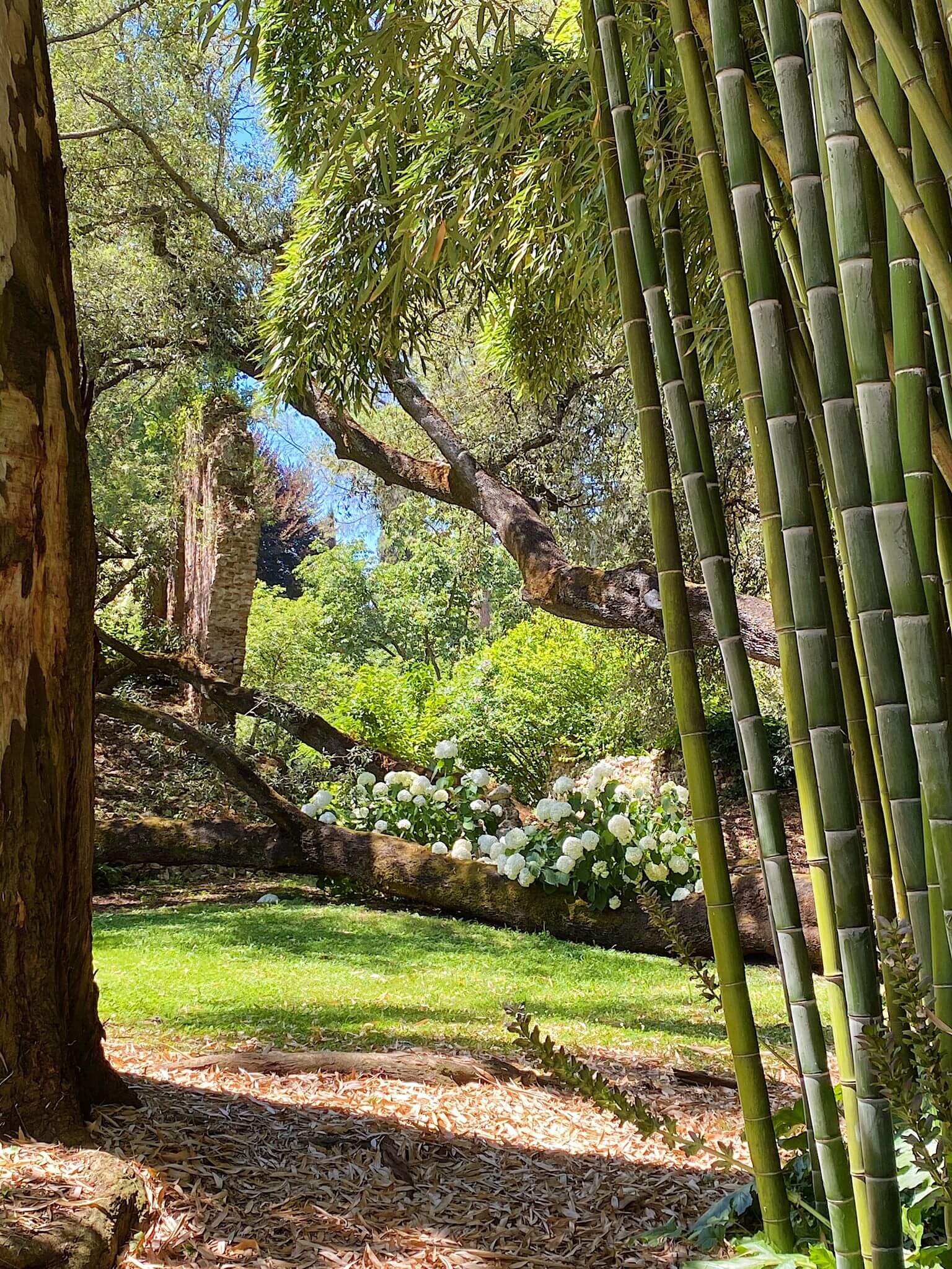 La Festa della Mamma al Giardino di Ninfa & il Borgo di Sermoneta 9