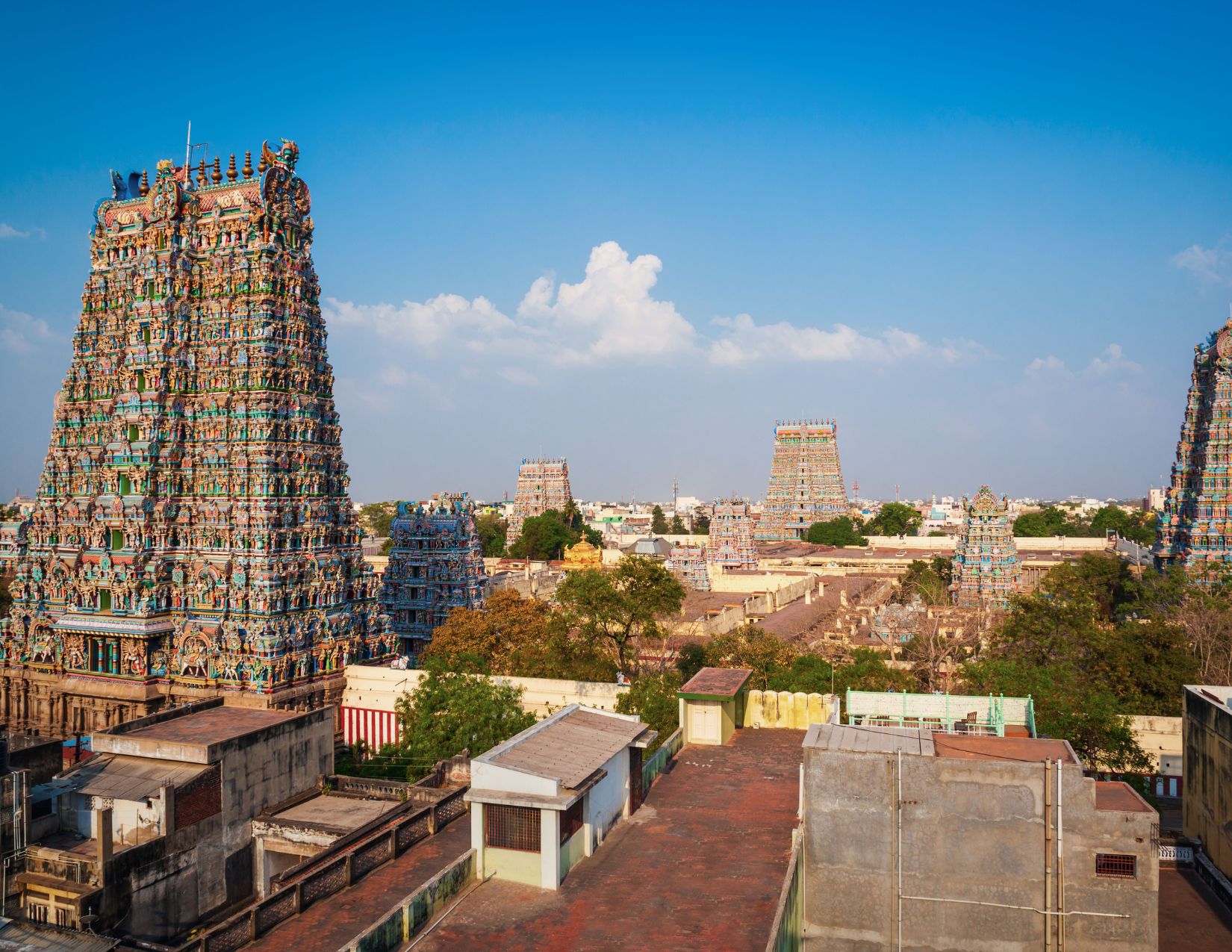 India del Sud e Kerala: tra Templi e Tradizioni 16