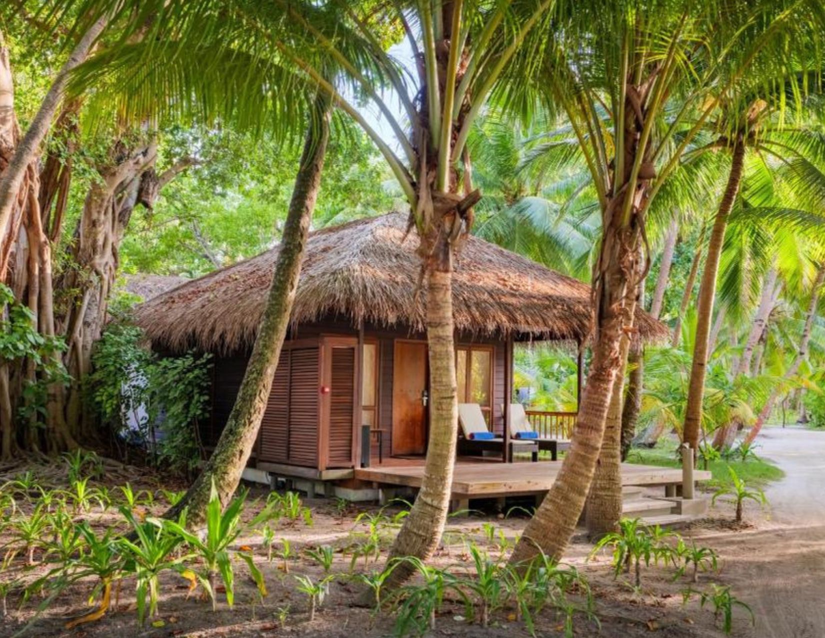 Sri Lanka & Maldive: Tour & Mare da Sogno 19