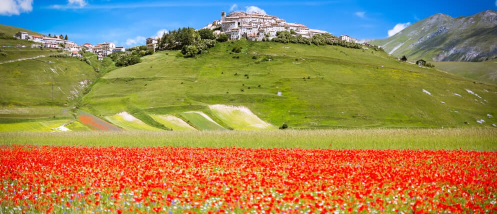 Weekend Verde sui Monti Sibillini: Esperienze autentiche, Tradizioni e la Fioritura di Castelluccio 18