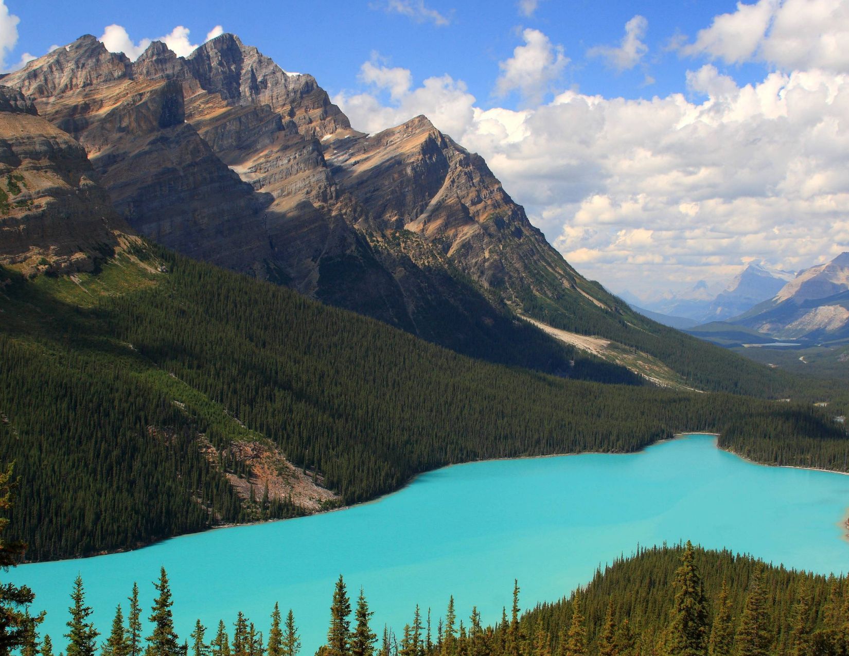 Canada tra Metropoli e Natura: l’Anima Selvaggia del Québec 13