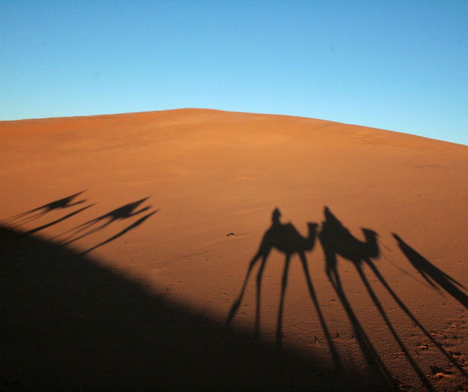 Gran Tour del Marocco: Tra Deserti Dorati e Antiche Tradizioni 16