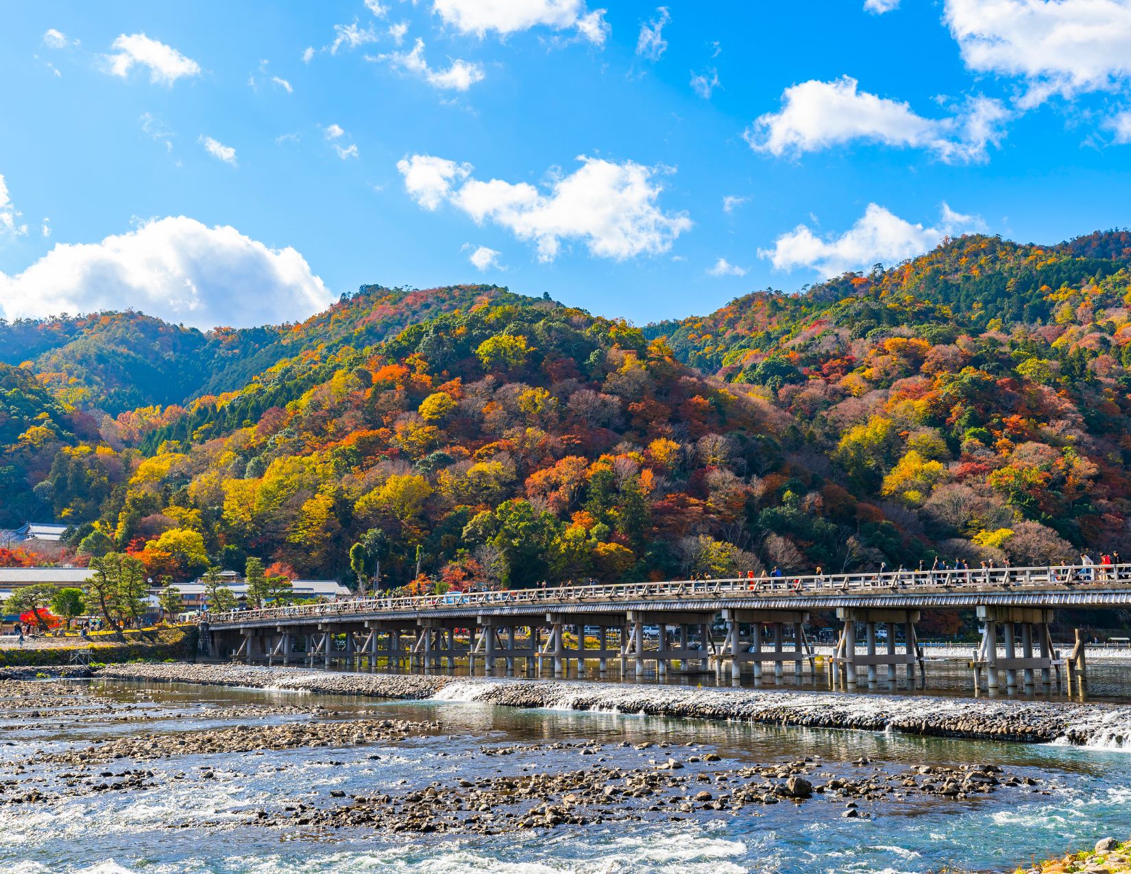 Tour Giappone Rosso Autunno: Esperienze autentiche tra templi, città e il Festival delle Lanterne 22