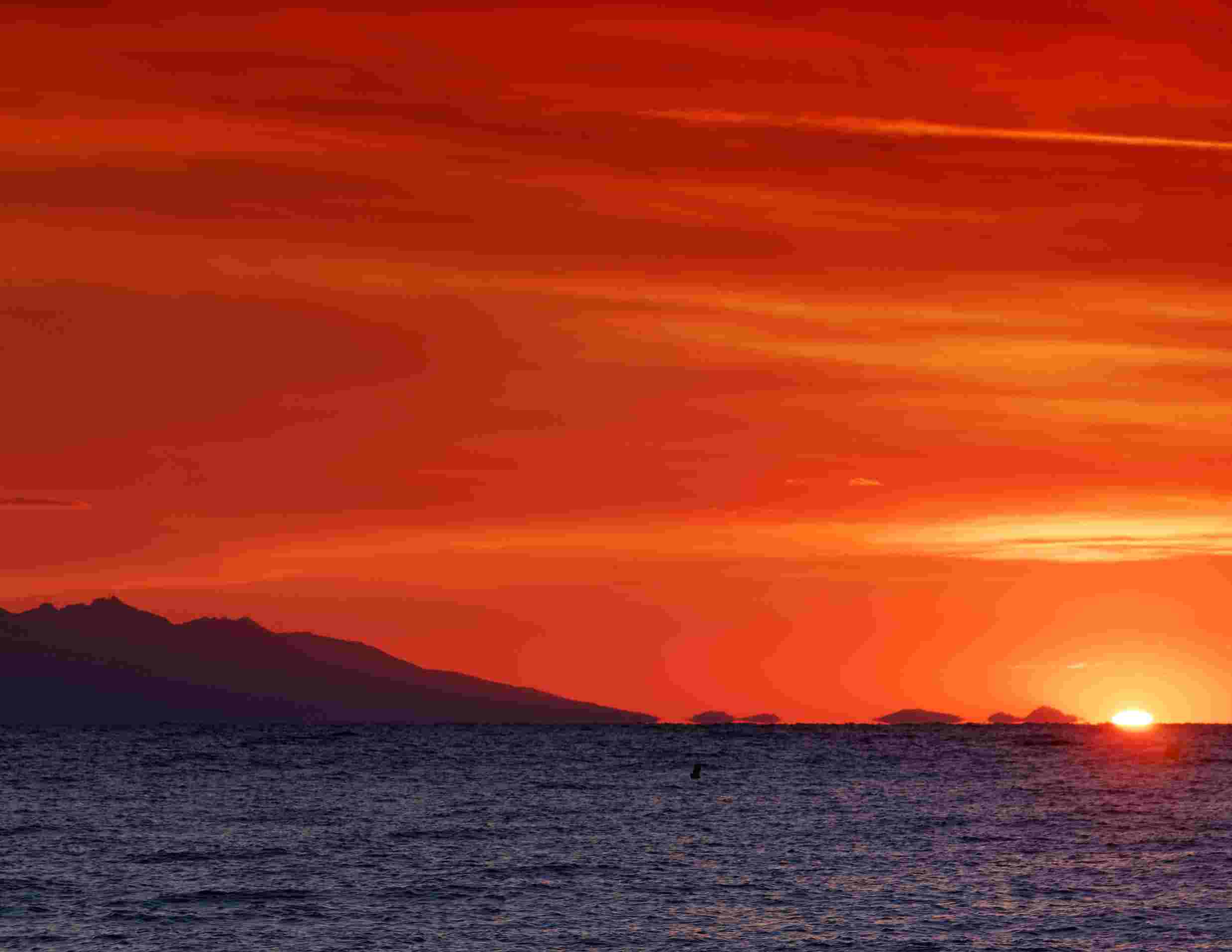 Minitour di Inizio Estate all'Isola D'Elba: Mare, Borghi e Natura 4