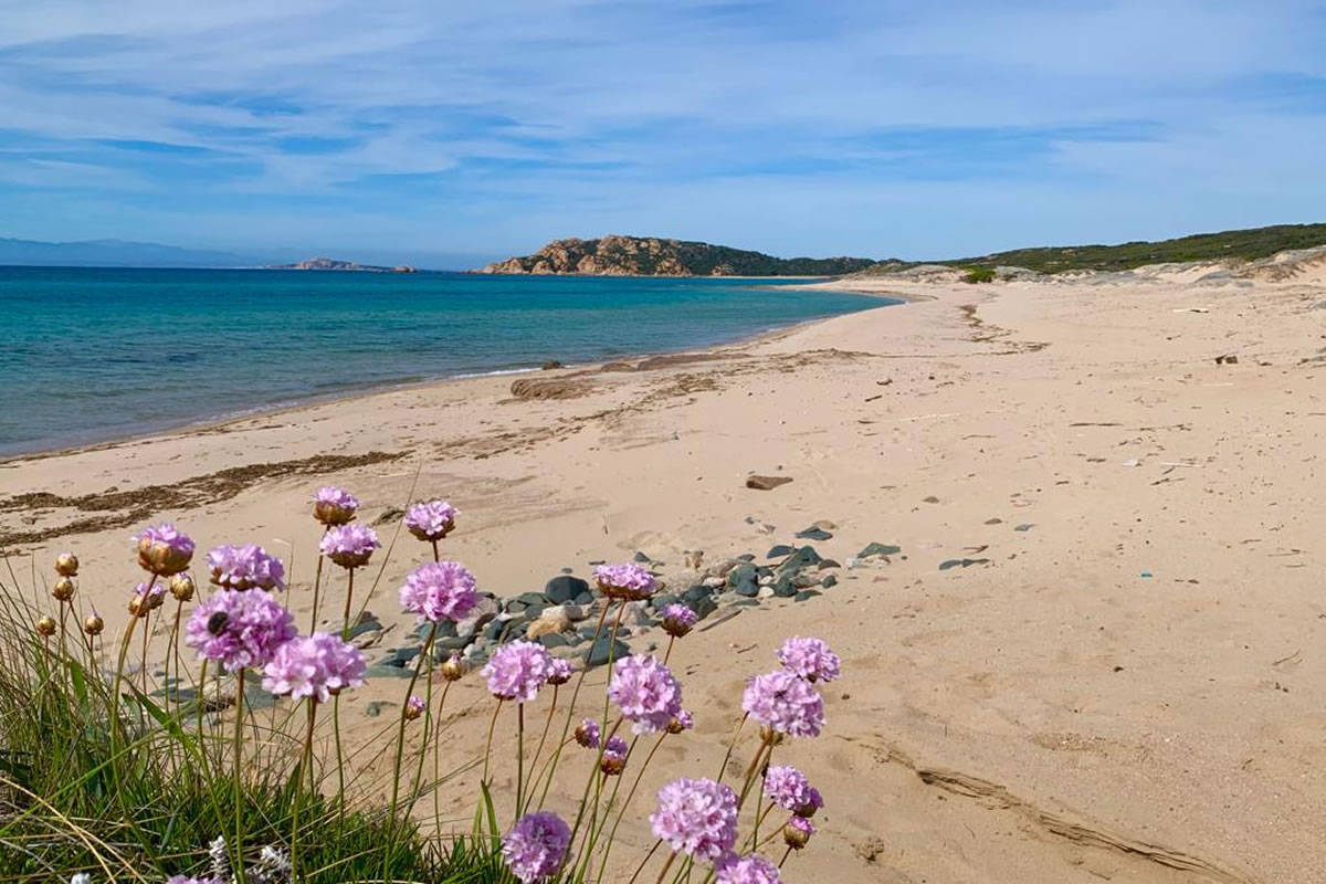 Sardegna Insolita: Tour & Mare tra tradizioni e relax 25